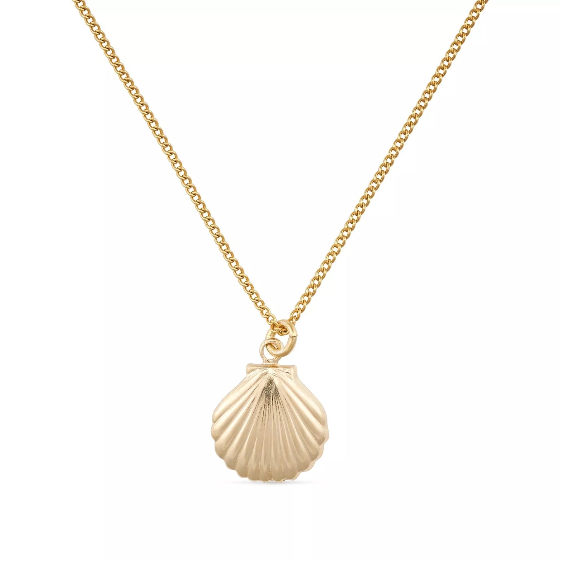 Dainty Gold Large Shell Clam Necklace