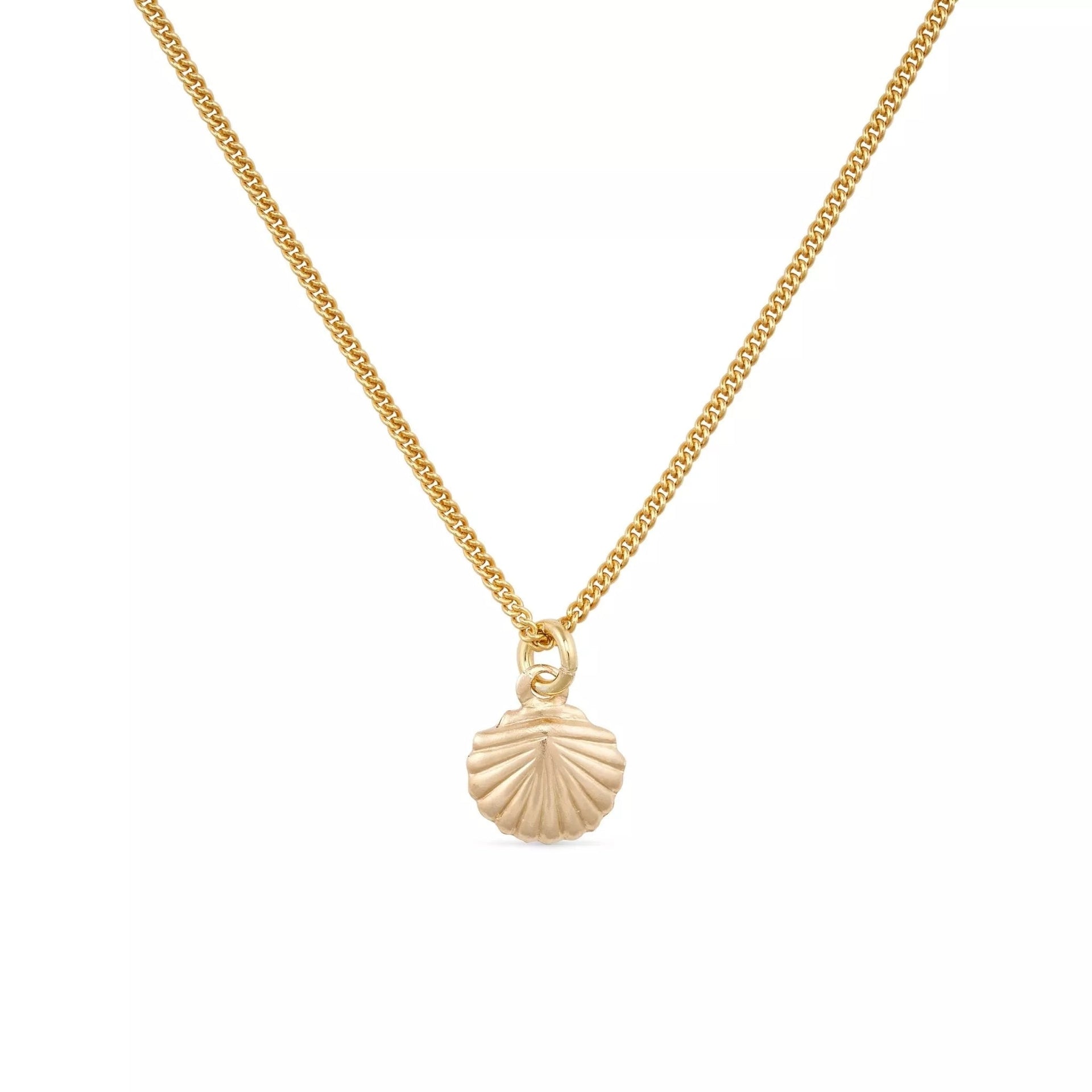 Dainty Gold Shell Clam Necklace