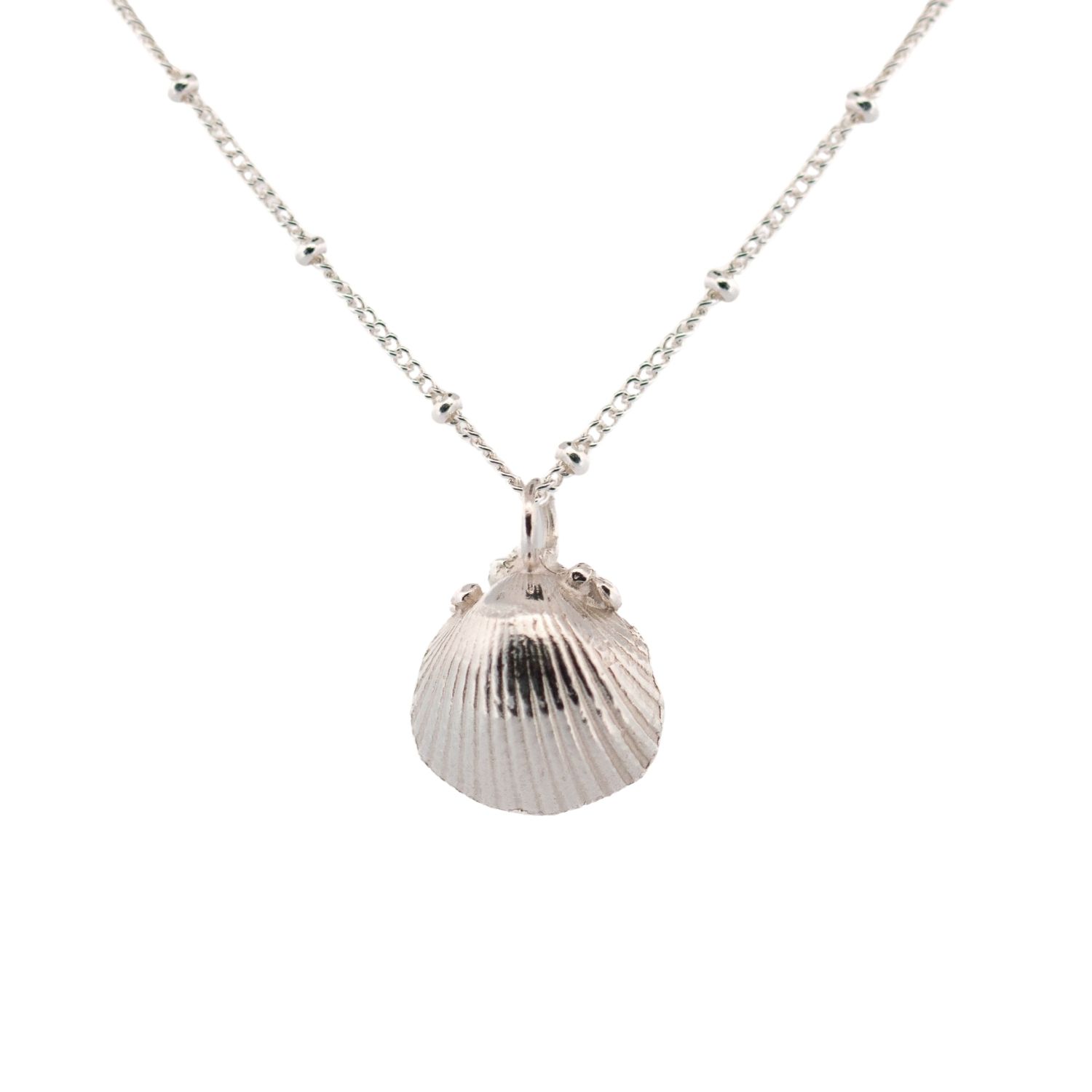 Dainty Silver Seashell Necklace