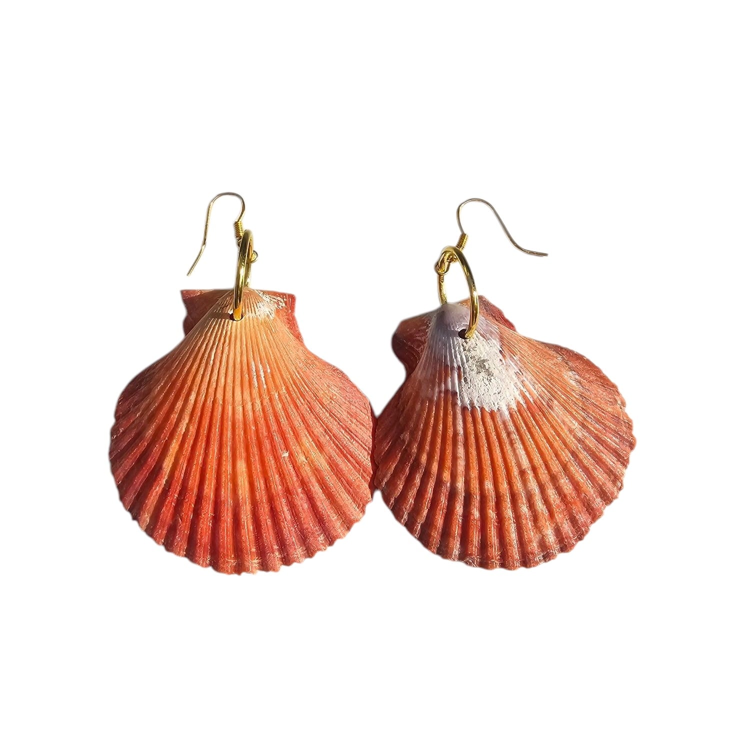 Dalal Fan Shell Earrings