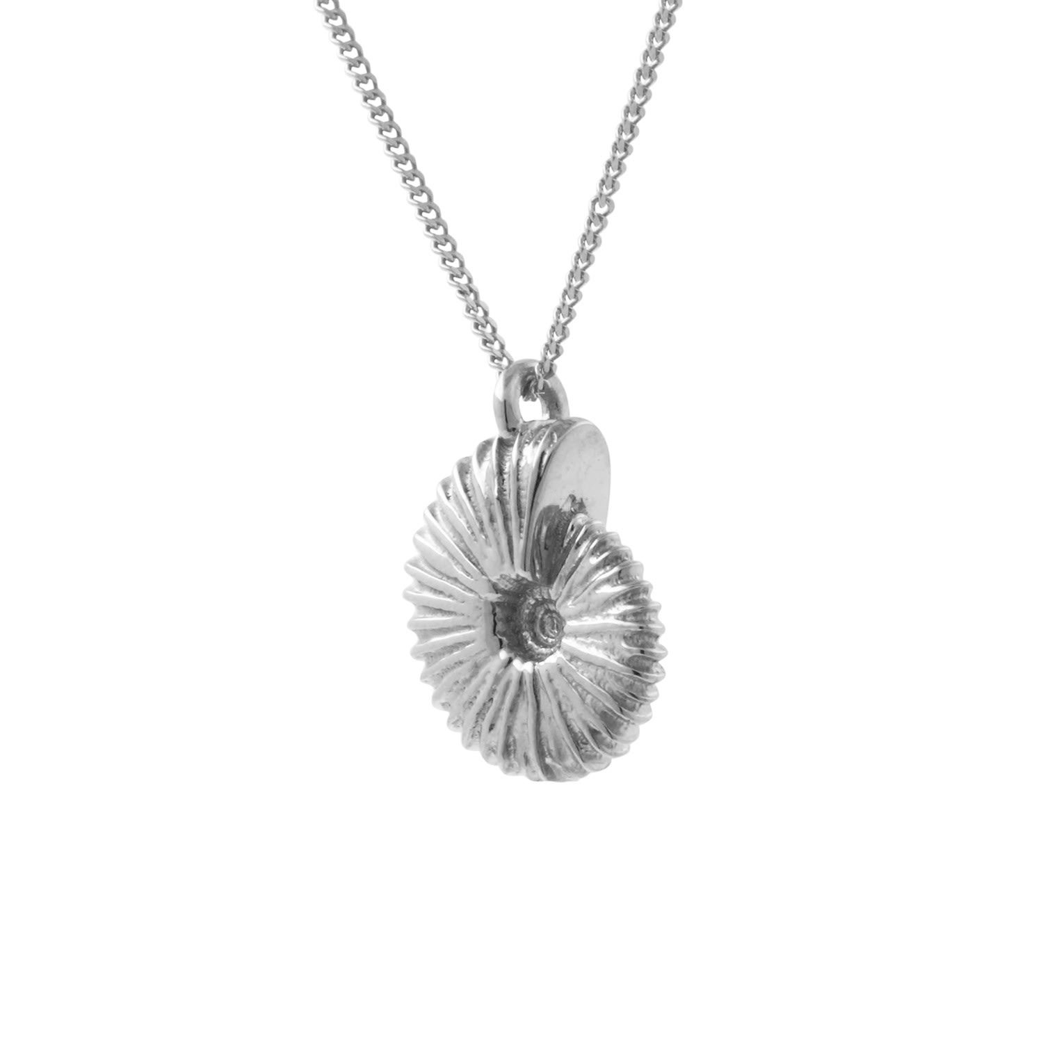 Ammonite Necklace - Silver