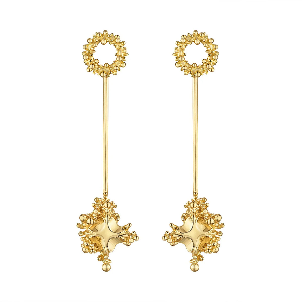 Desiree Two In One Long Earrings