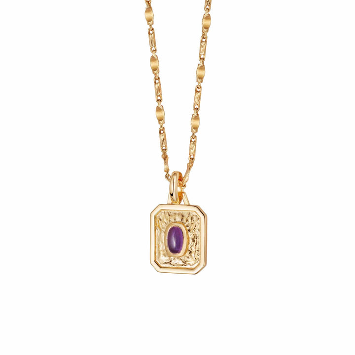february-amethyst-birthstone-necklace-18ct-gold-plated-daisy-london