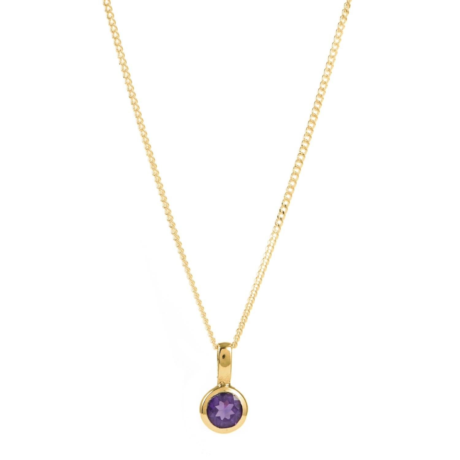 February Birthstone Charm Gold Necklace - Amethyst