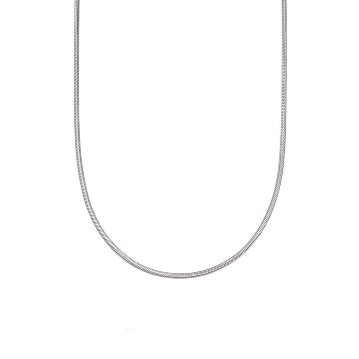 round-snake-chain-necklace-daisy-london