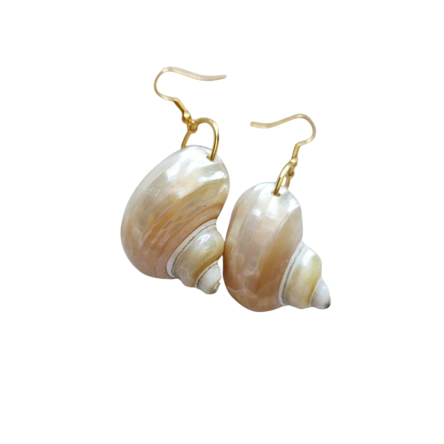 Gemma Turbo Shell Earrings