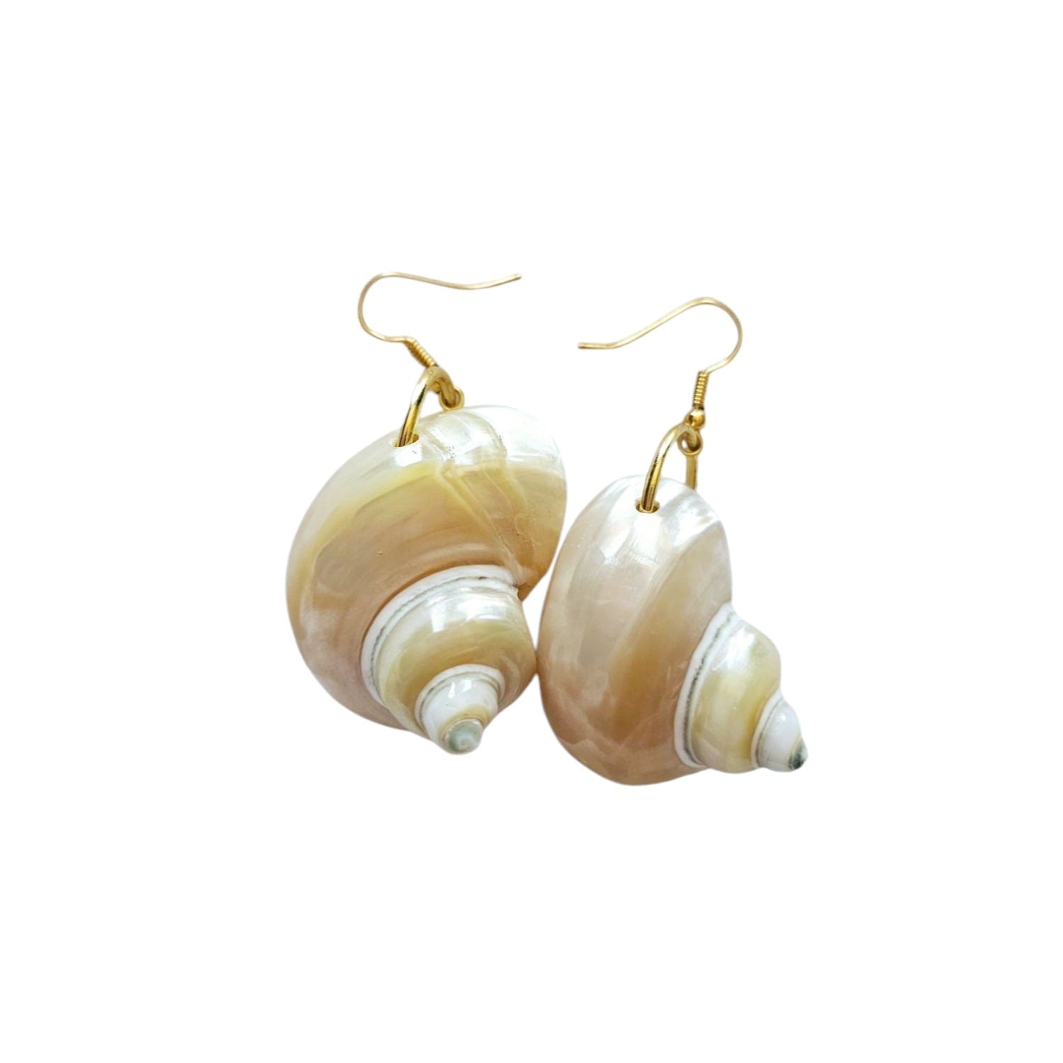 Gemma Turbo Shell Earrings