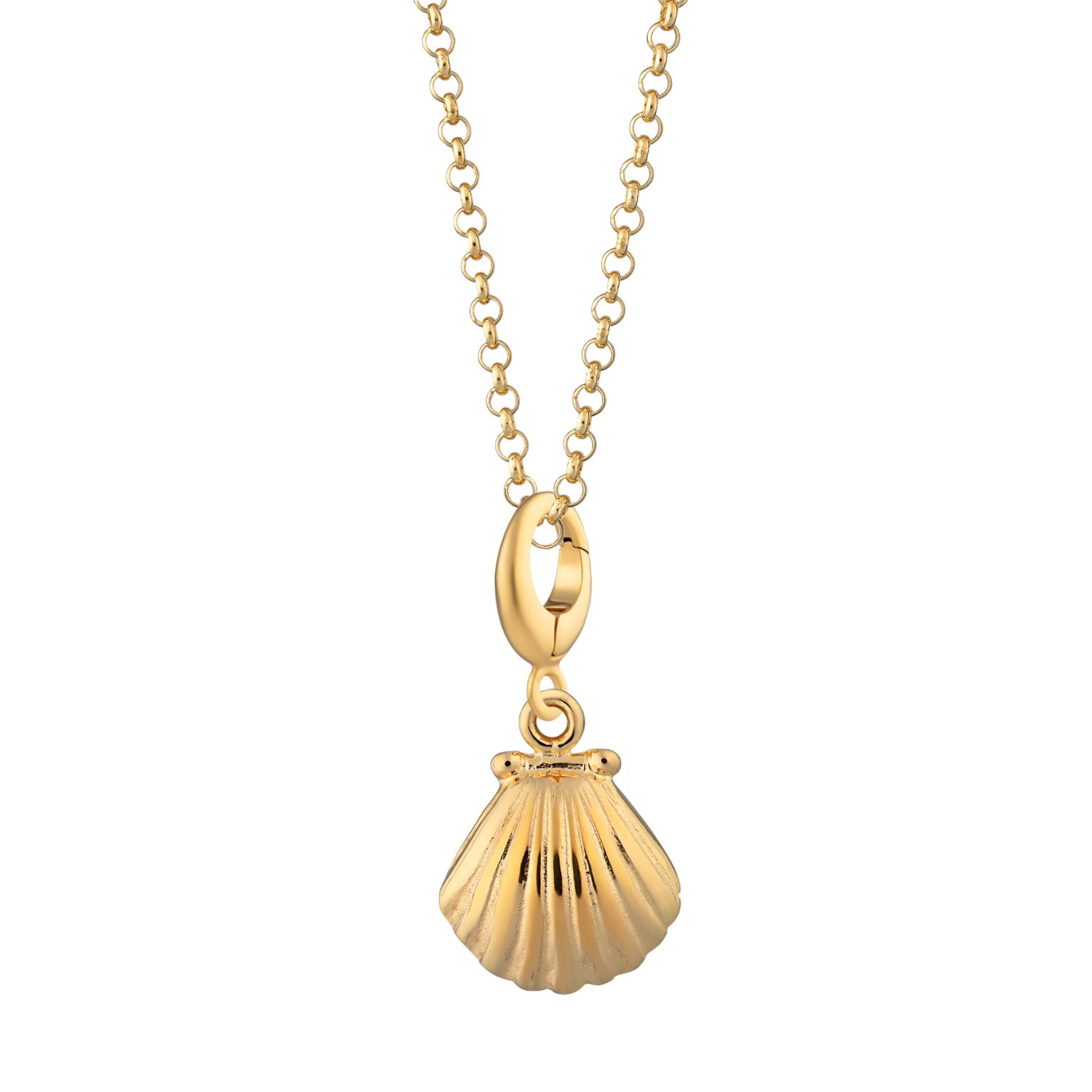 Gold Plated Clam Shell Charm Necklace