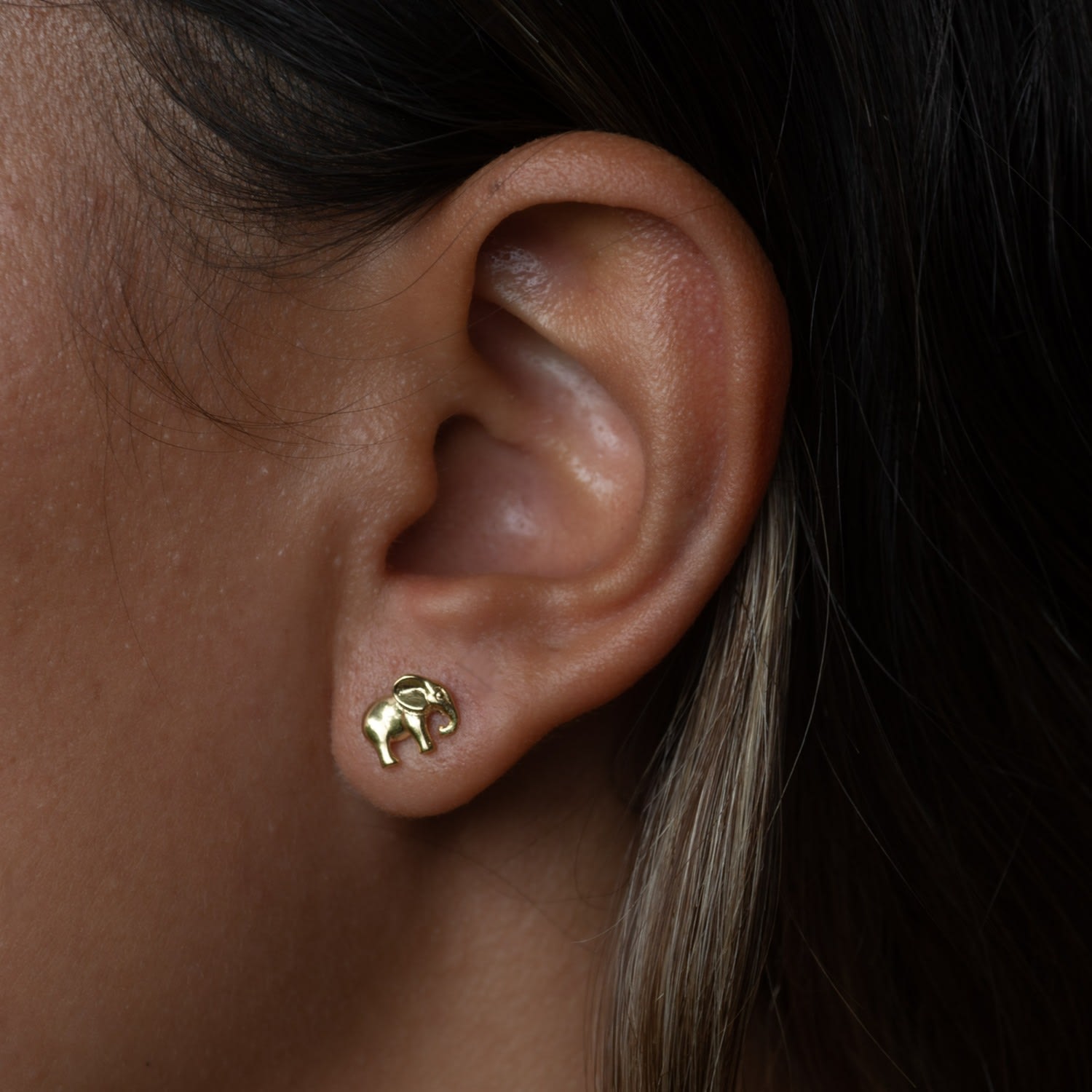 Gold Plated Elephant Stud Earrings