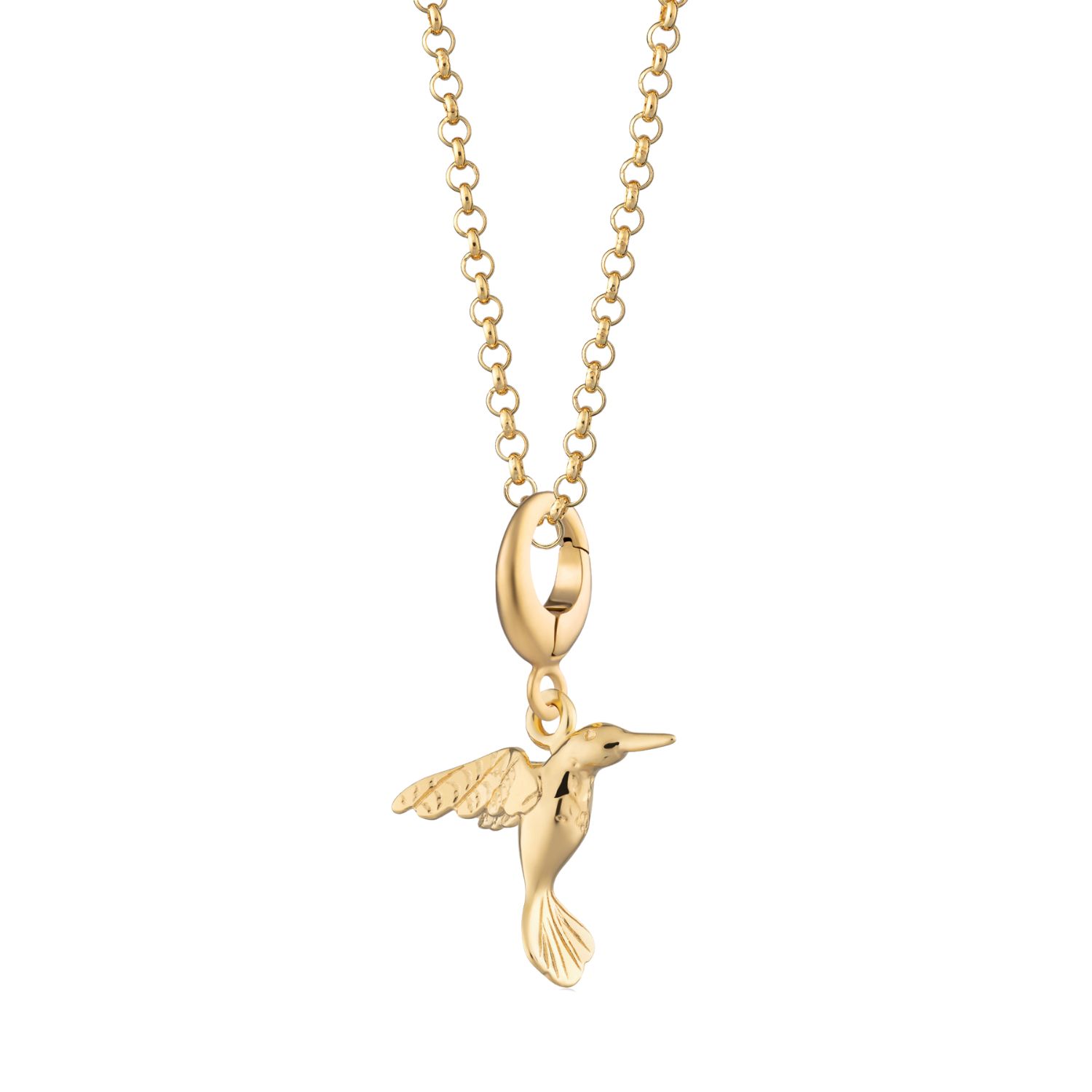 Gold Plated Hummingbird Charm Necklace
