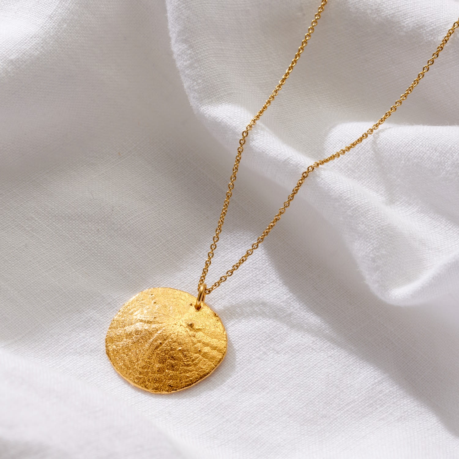 Gold Plated Large Sand Dollar Necklace