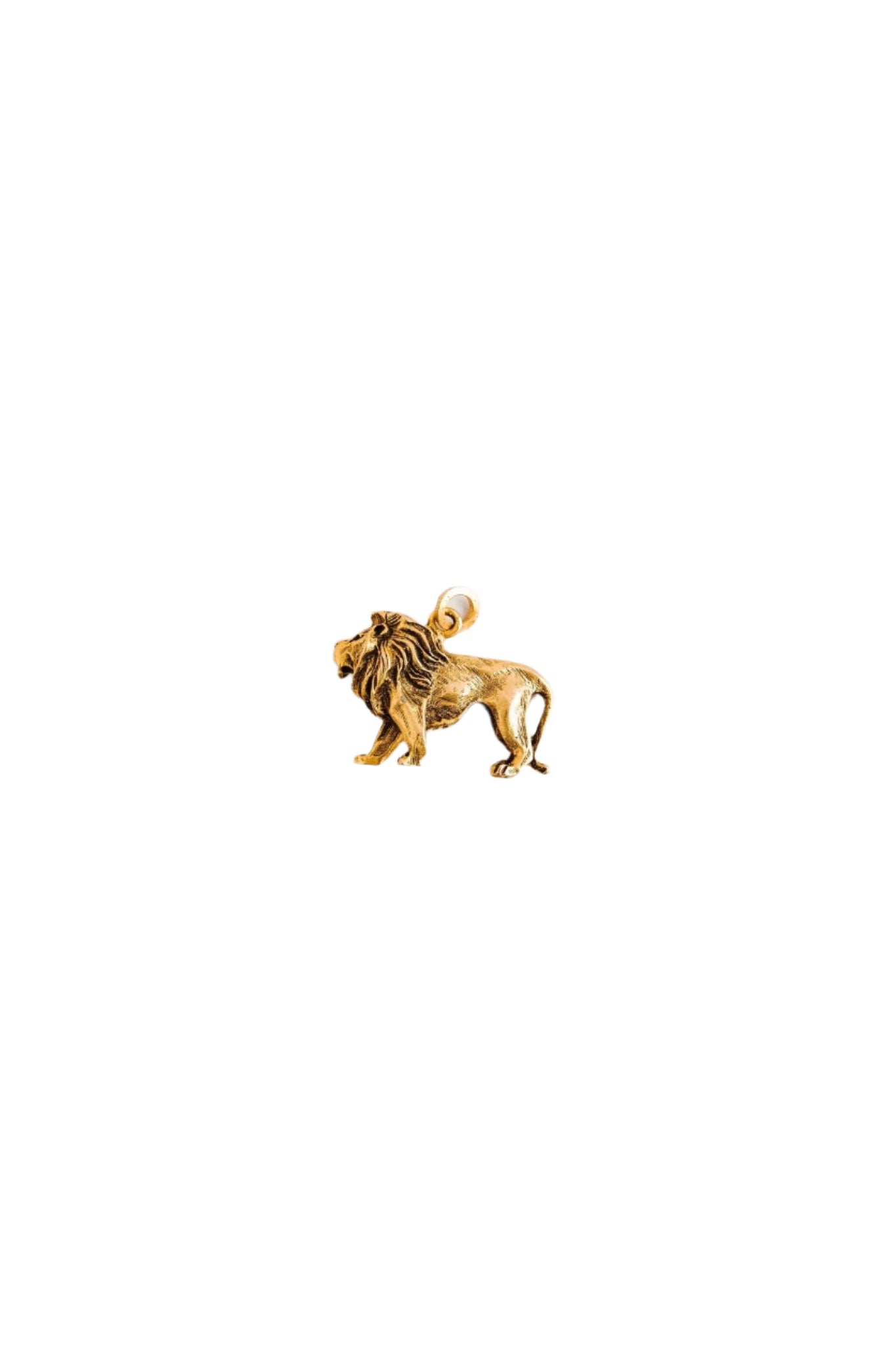Golden Lion Charm