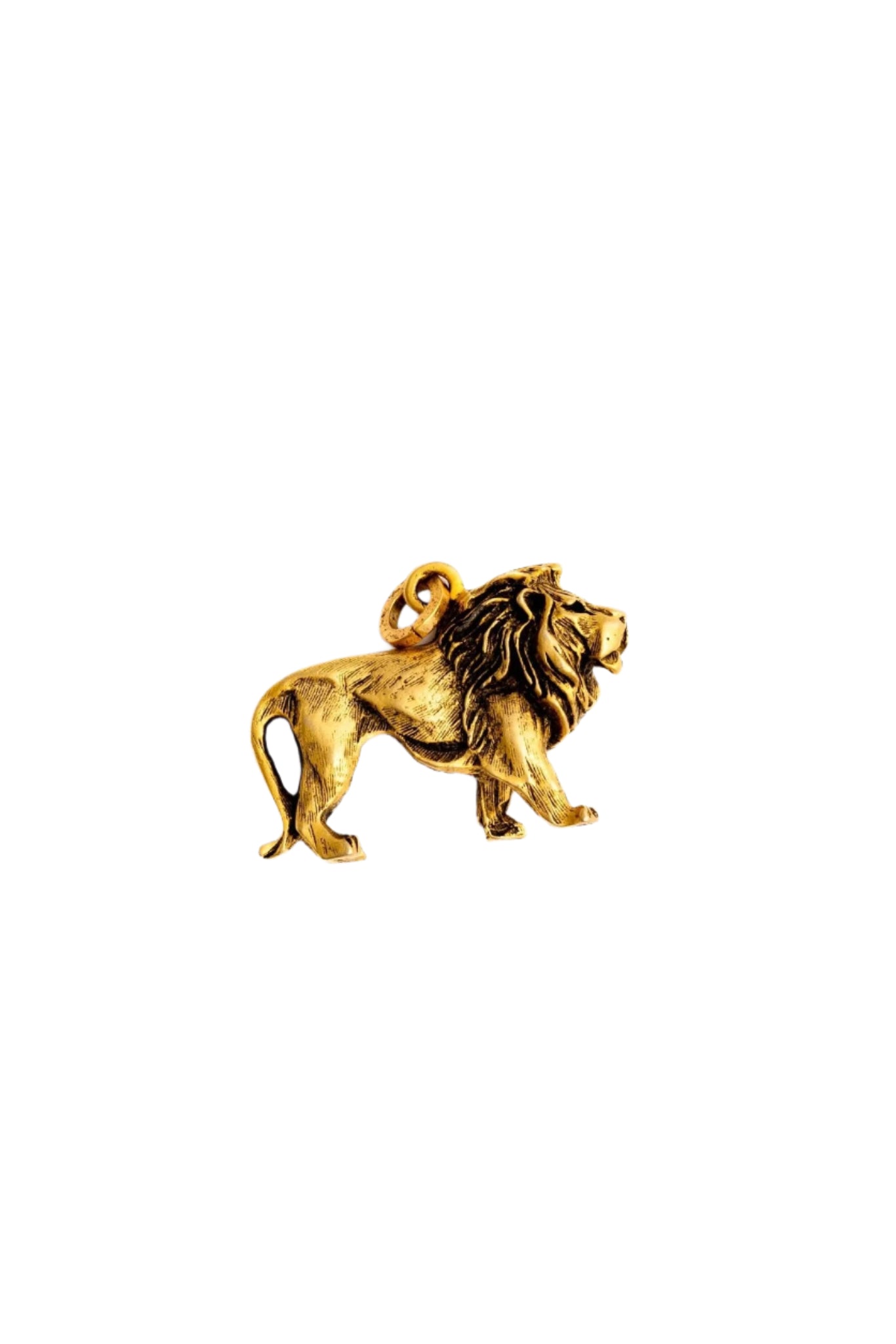Golden Lion Charm