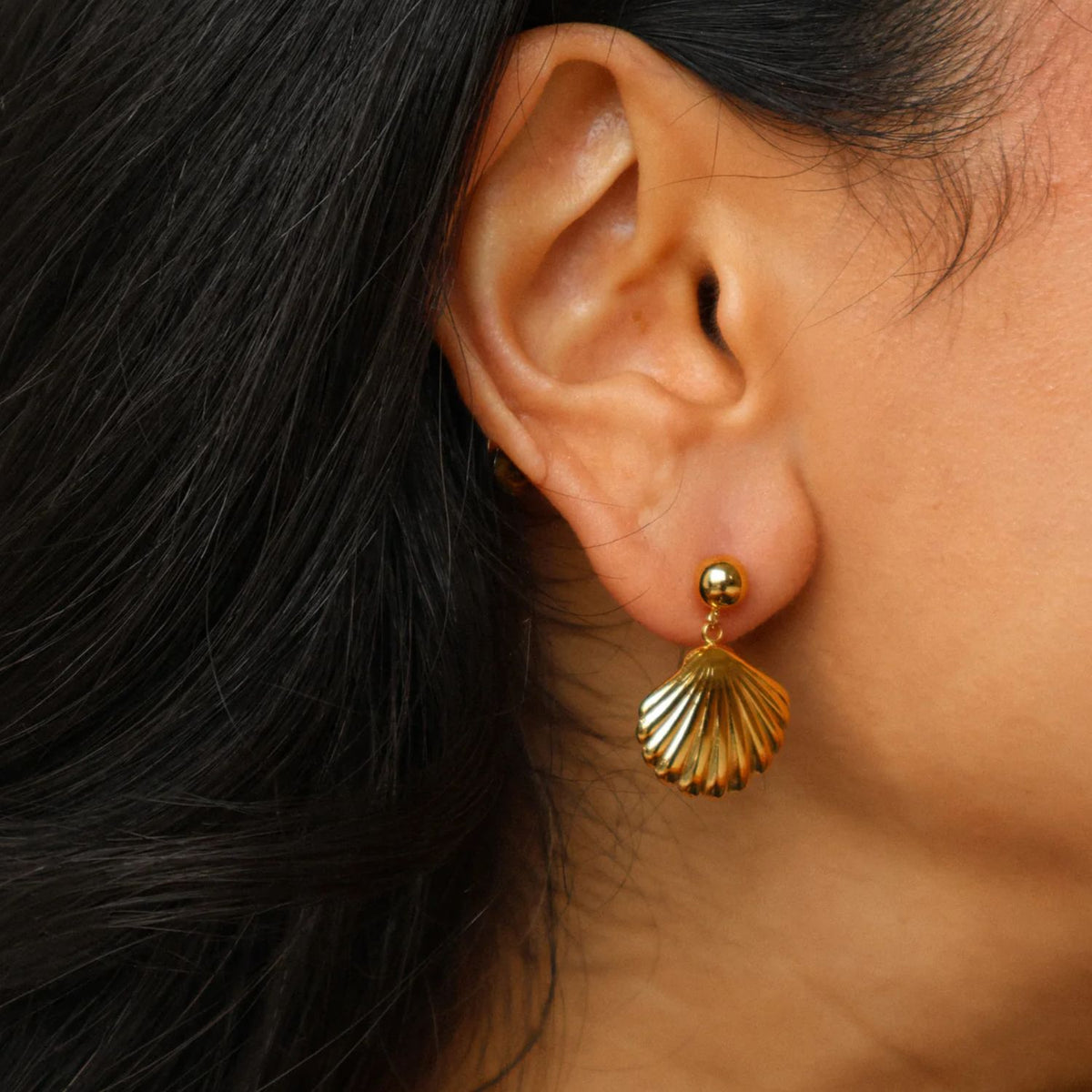 Golden Shell Earrings