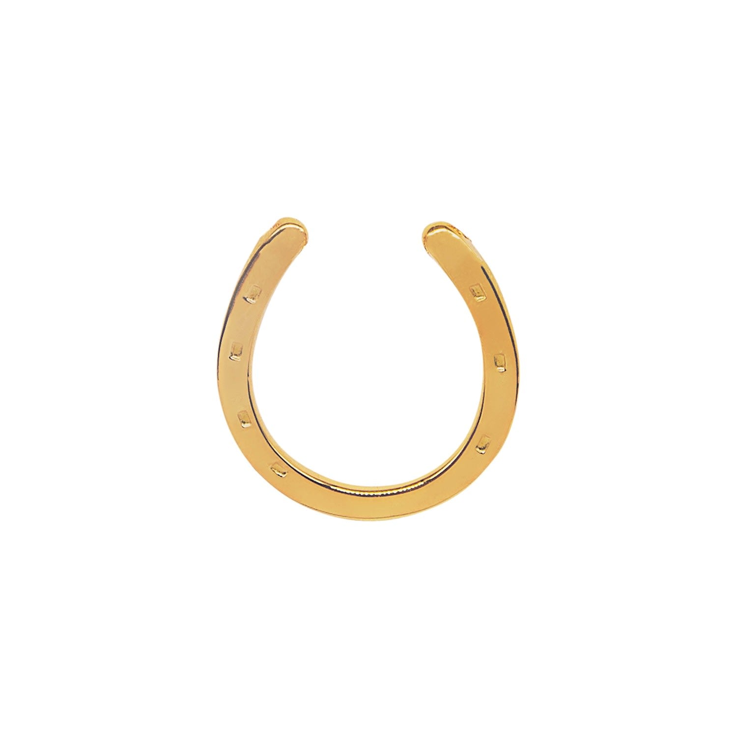 Horseshoe Pendant Gold Plated Necklace