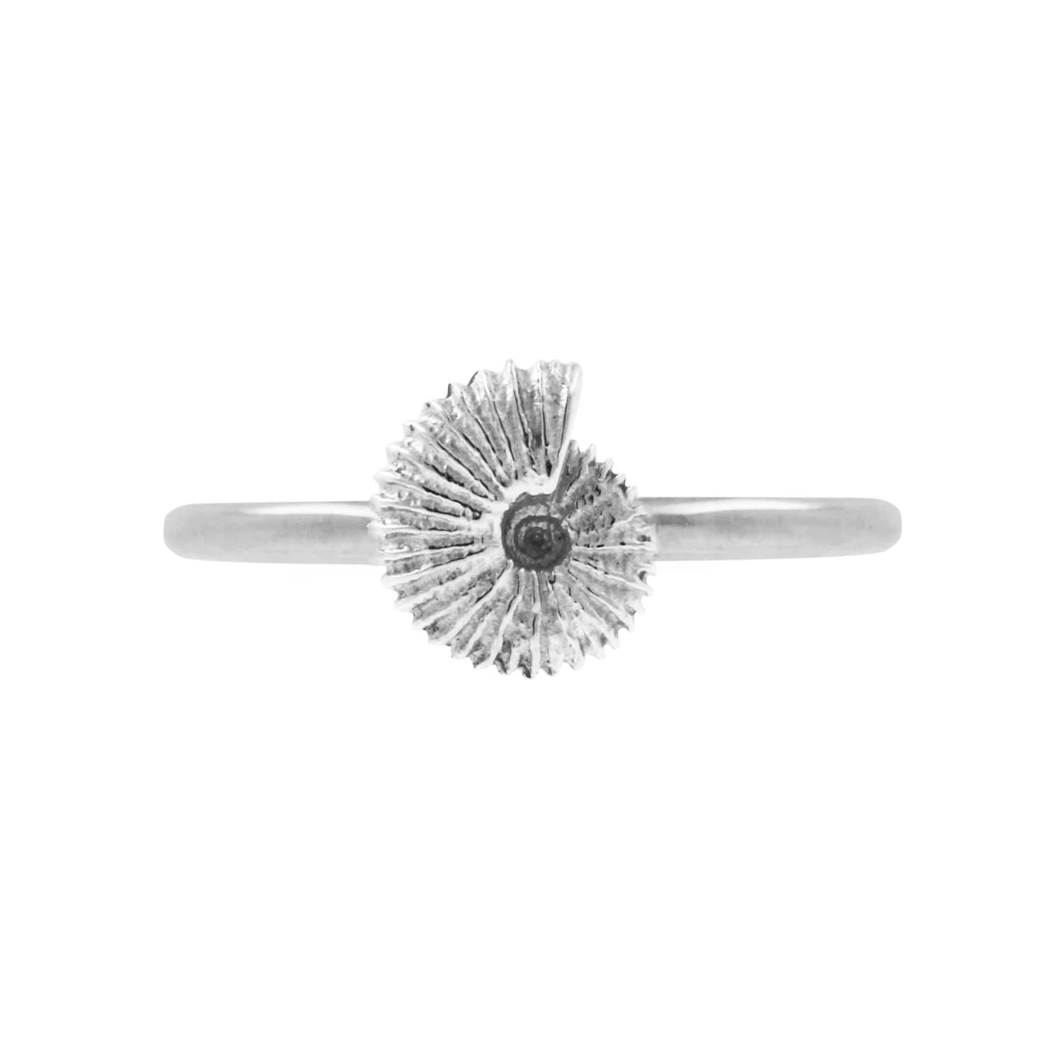 Ammonite Ring - Sterling Silver