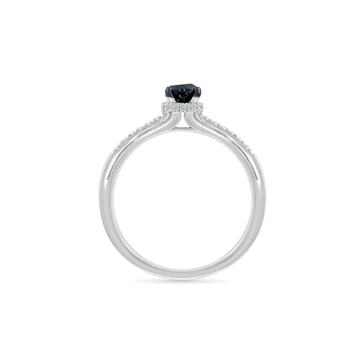 3/8 CT. Tw. Black and White Diamond Hidden Halo Ring 10K White Gold Round Brilliant Cut Size 5.5