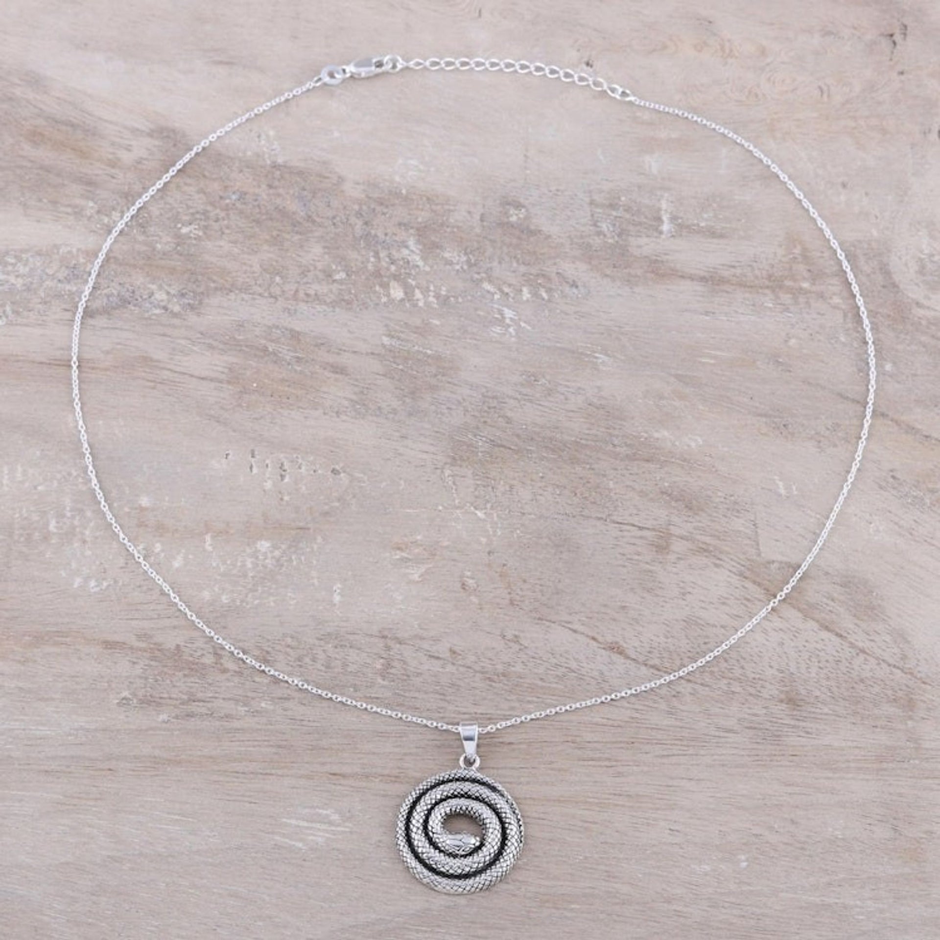 Coiled Snake Sterling Silver Pendant Necklace from India 'Sleeping Serpent'