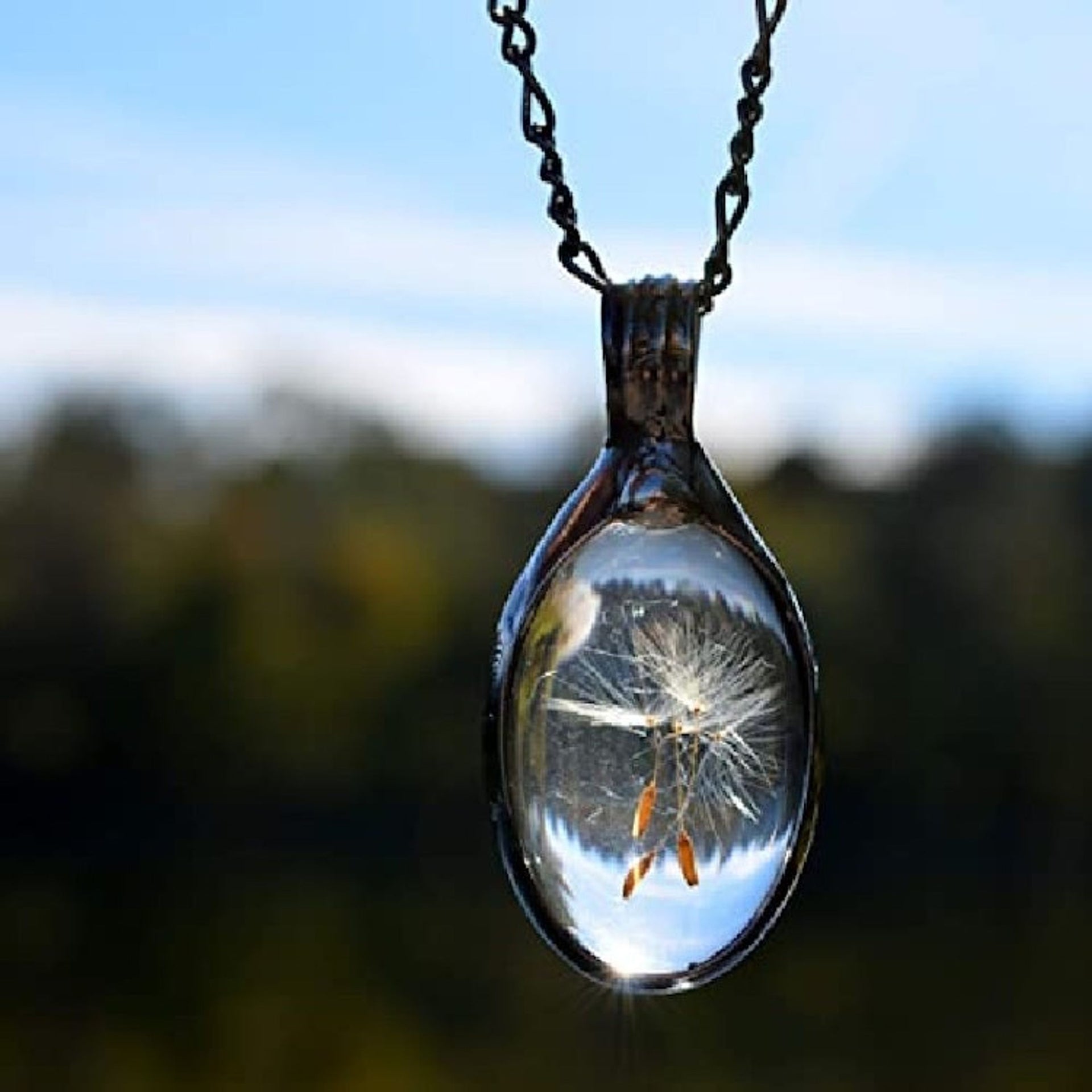 Wish Necklace, Dandelion Seed Pendant, 3 Seeds, 3 Wishes