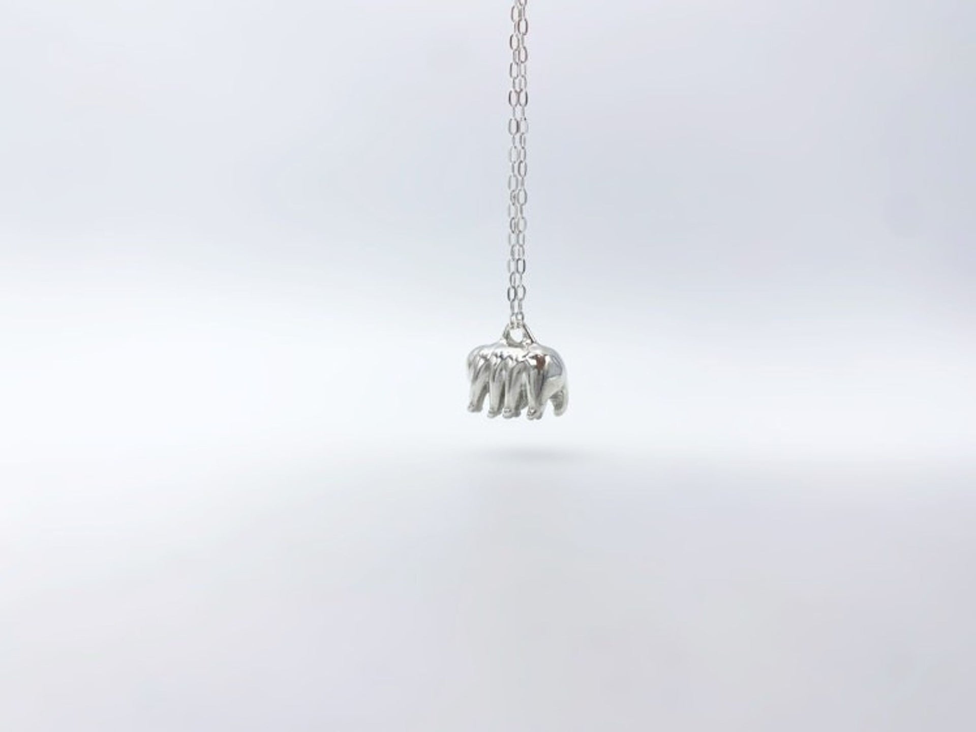 Silver Tardigrade Necklace