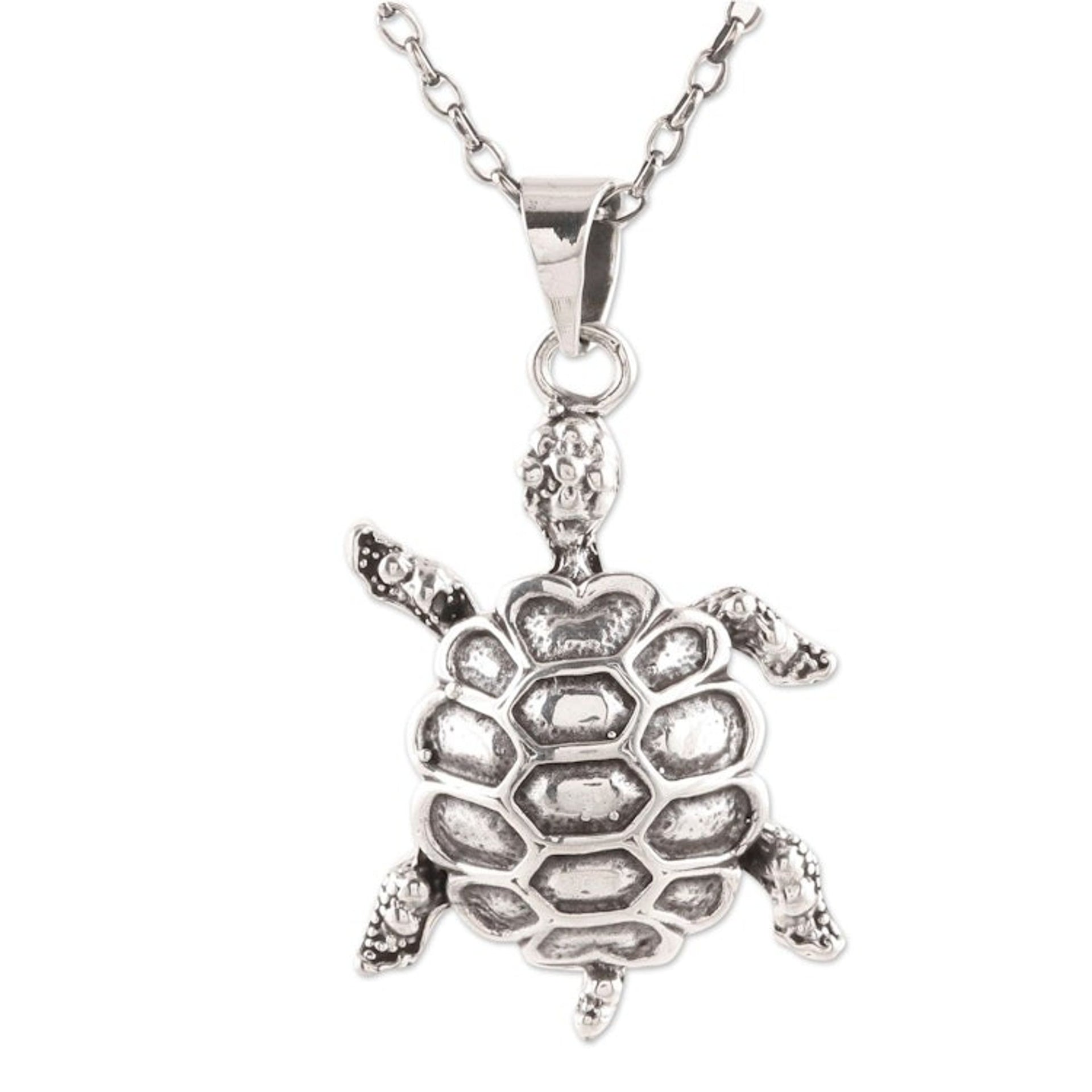 Sterling Silver Turtle Pendant Necklace from India 'Turtle Friend'