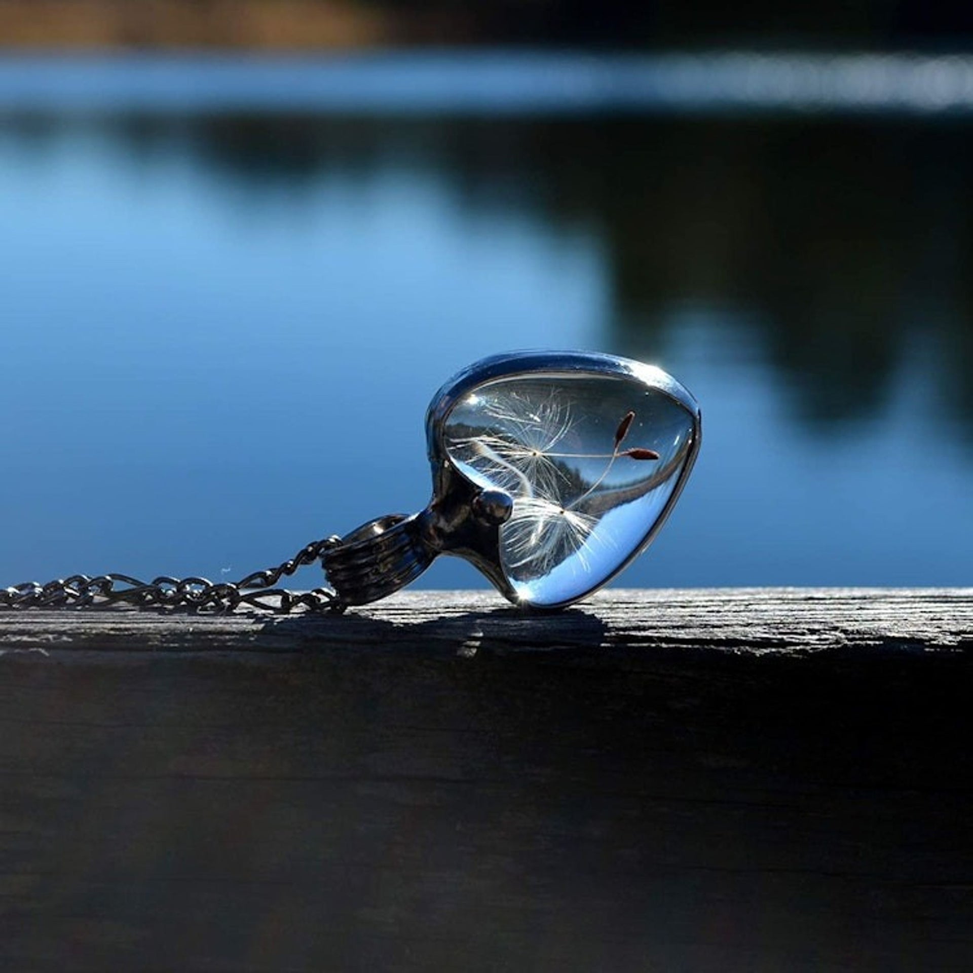 Dandelion Seed Heart Pendant Necklace for Women, Stained Glass Terrarium Jewelry