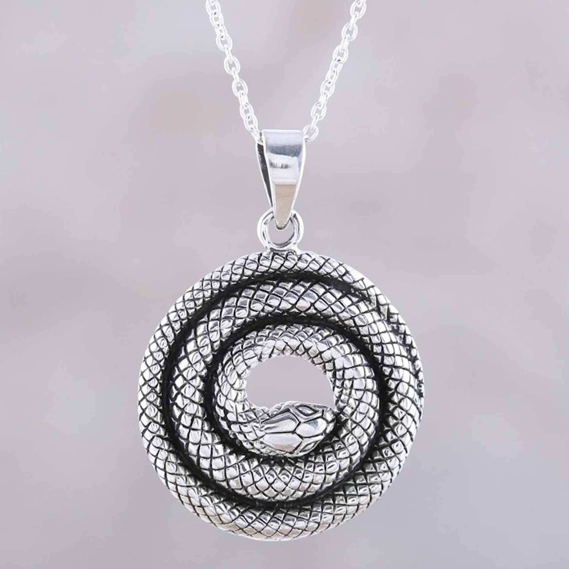 Coiled Snake Sterling Silver Pendant Necklace from India 'Sleeping Serpent'