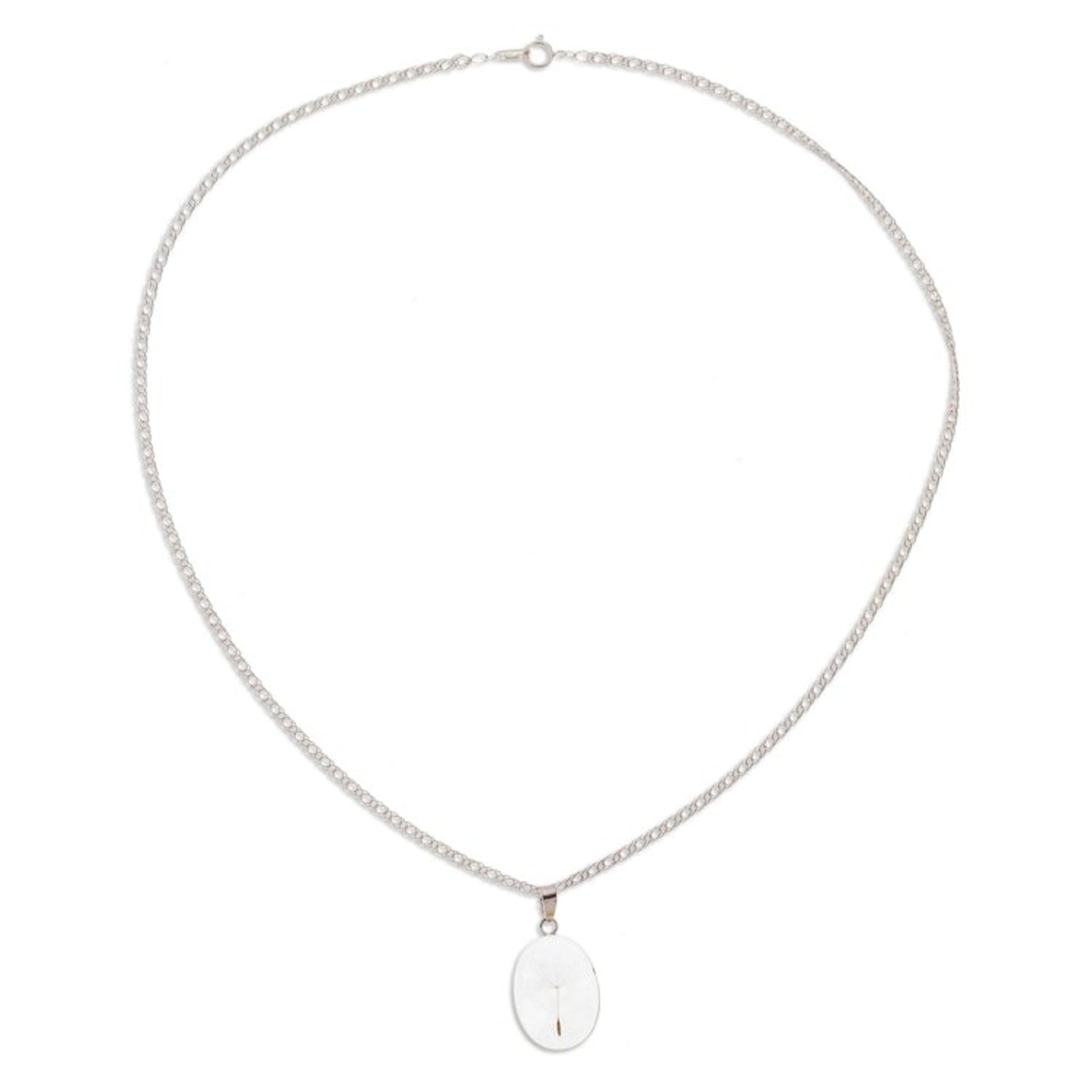 Oval Clear Natural Dandelion Resin Pendant Necklace 'Daylight Rebirth'