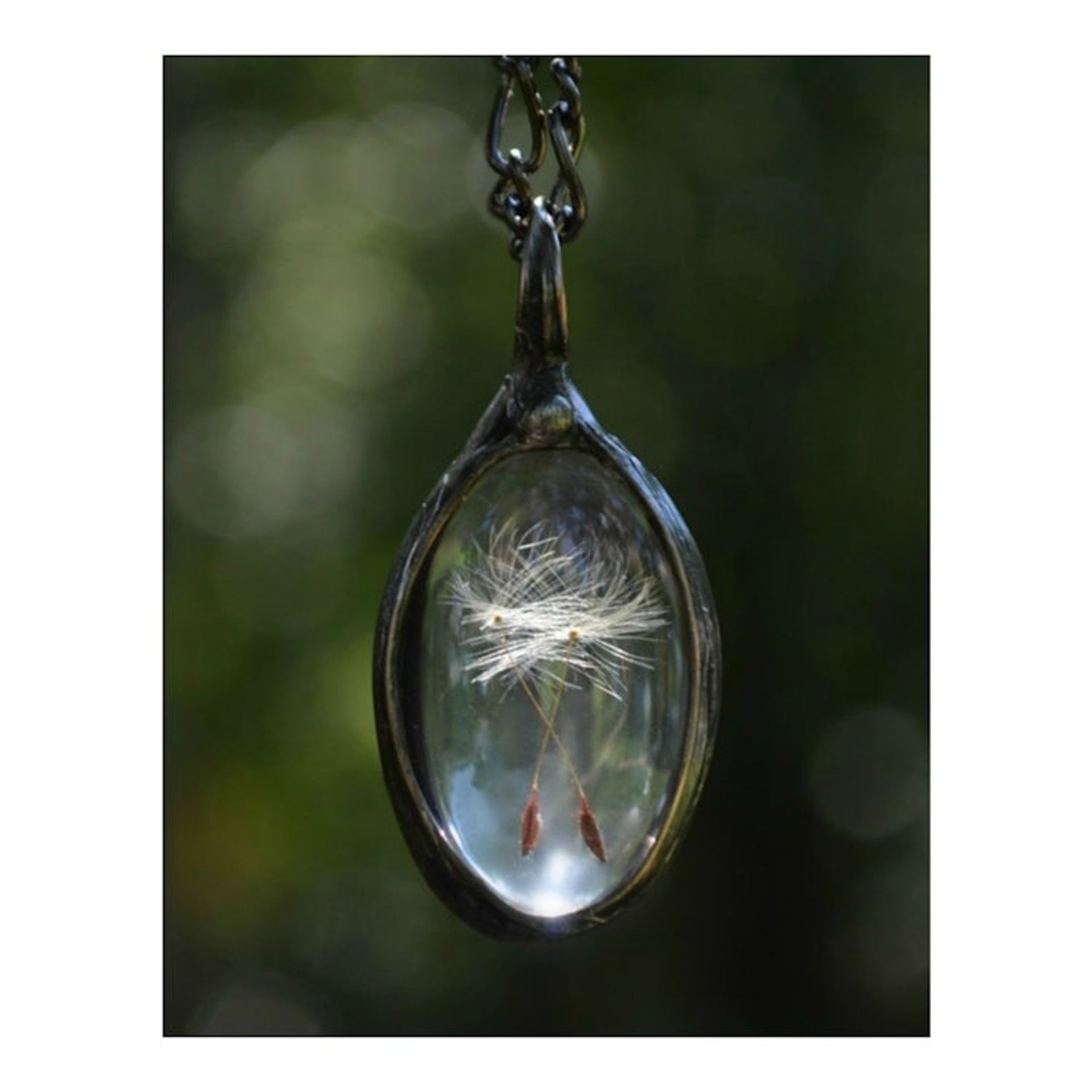 Dandelion Seed Necklace, Wish Jewelry for Women, Make a Wish Pendant, 2 Dandelion Seeds