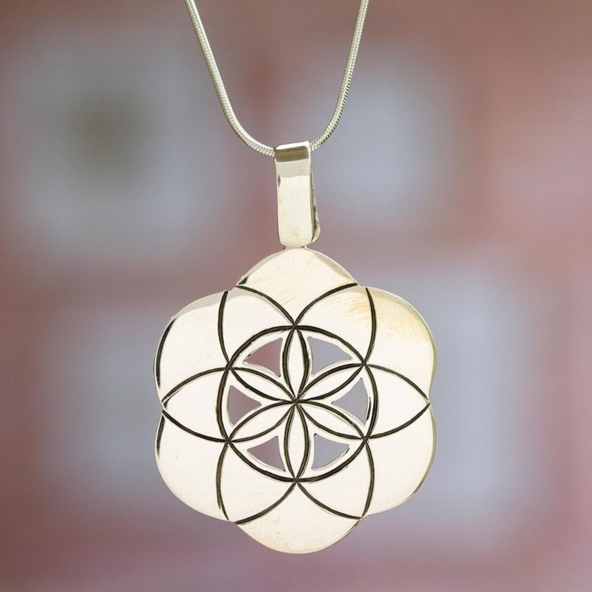 Sterling silver pendant necklace 'Seed of Life'