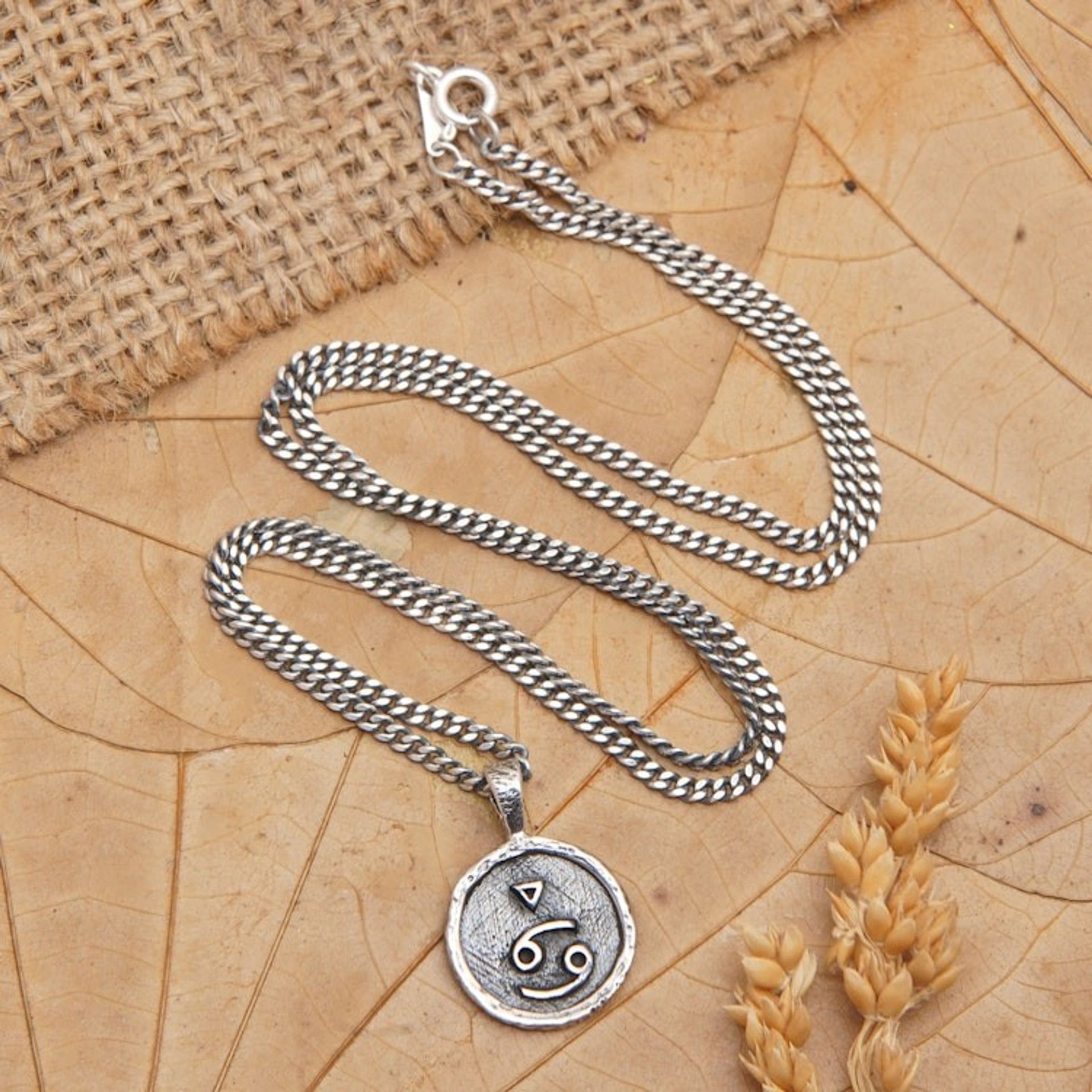 Sterling Silver Necklace with Cancer Zodiac Sign Pendant 'Cancer Charm'