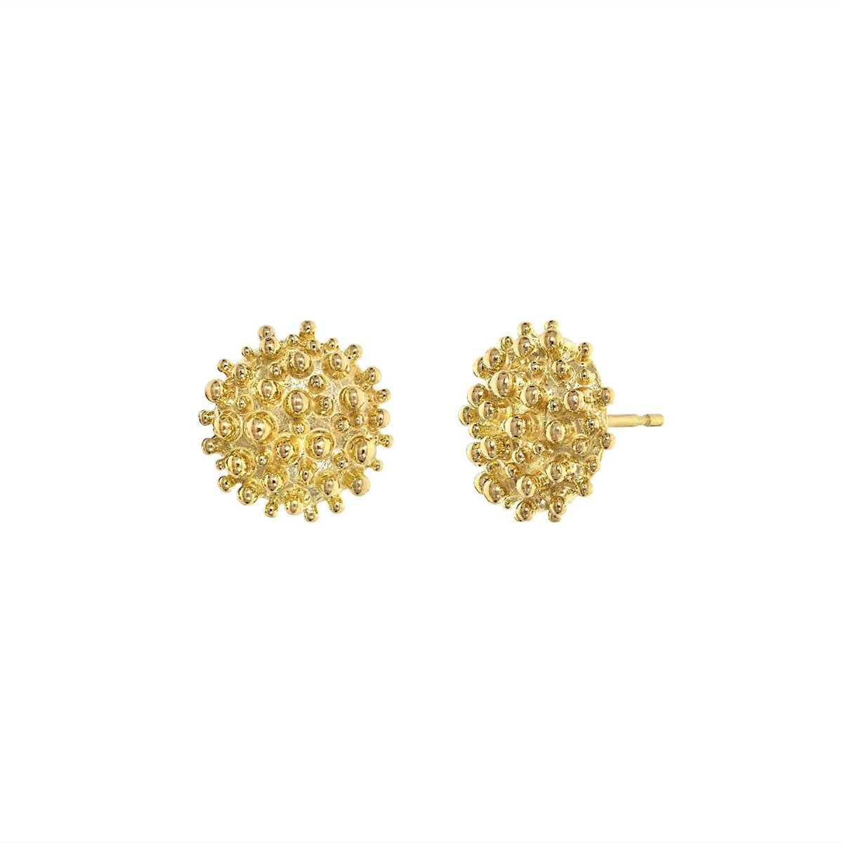 Coral Shield Studs