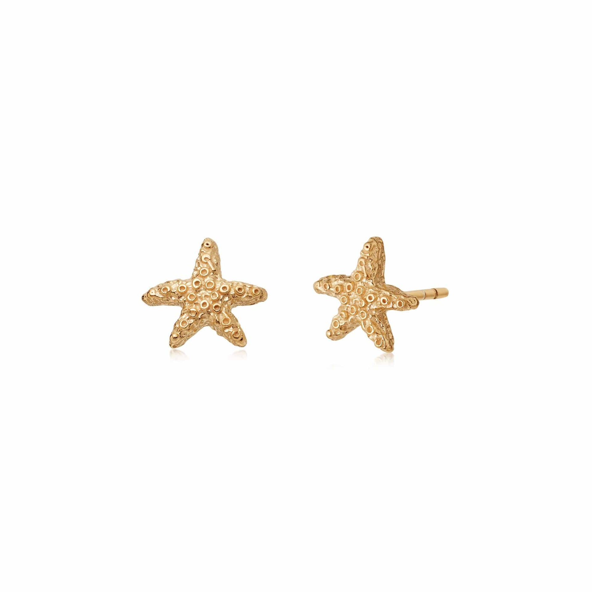 starfish-stud-earrings-18ct-gold-plated-sterling-silver-daisy-london