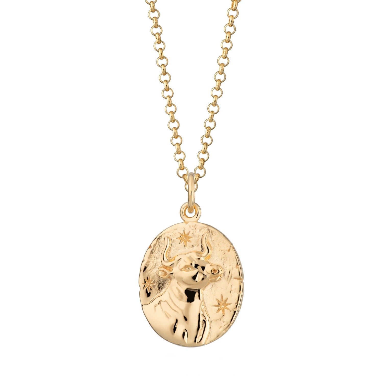 Gold Taurus Zodiac Charm Necklace