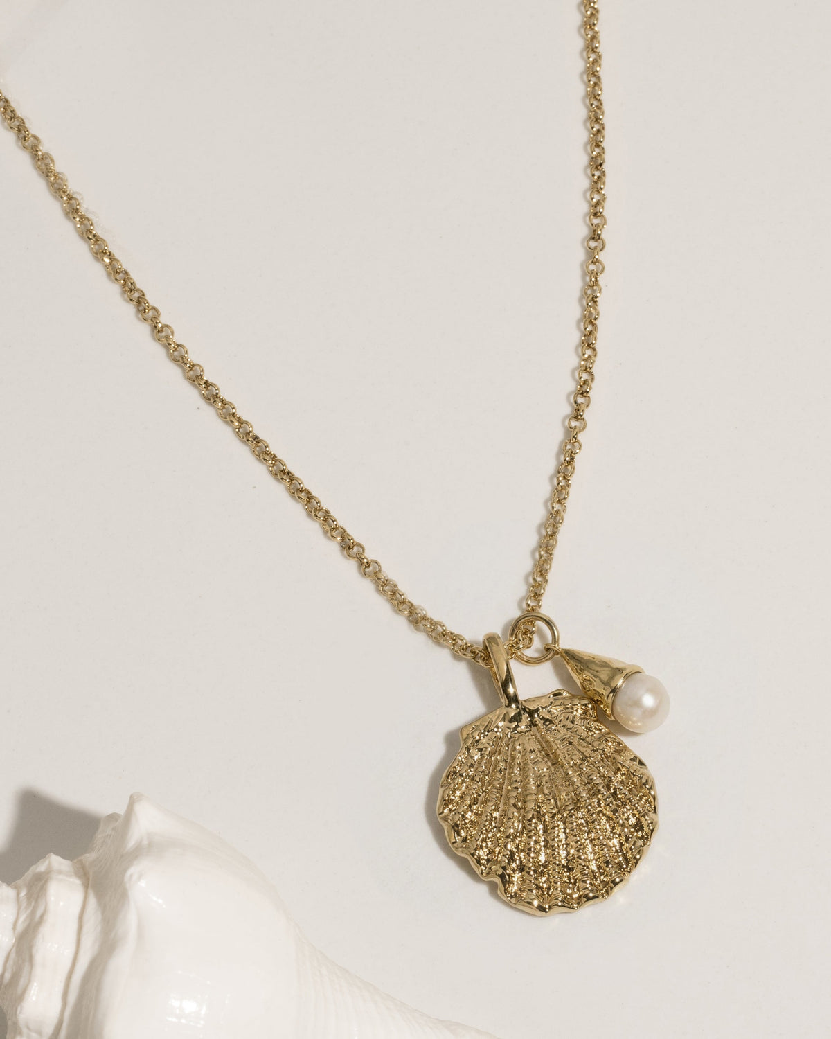 Capri Shell Necklace