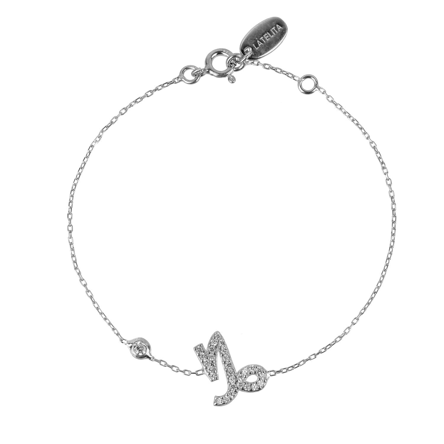 Zodiac Horoscope Star Sign Bracelet Capricorn Silver