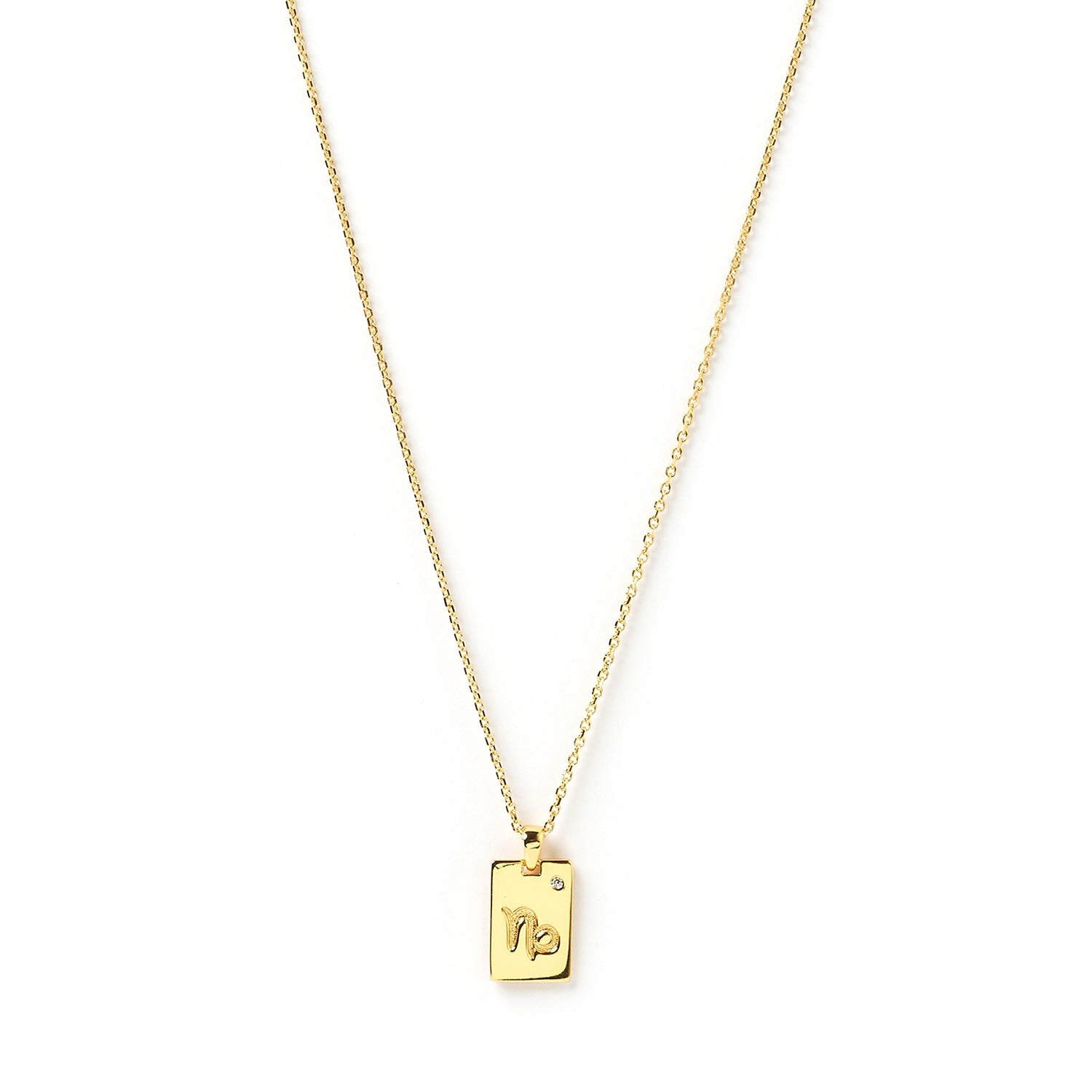 Capricorn Zodiac Gold Tag Necklace