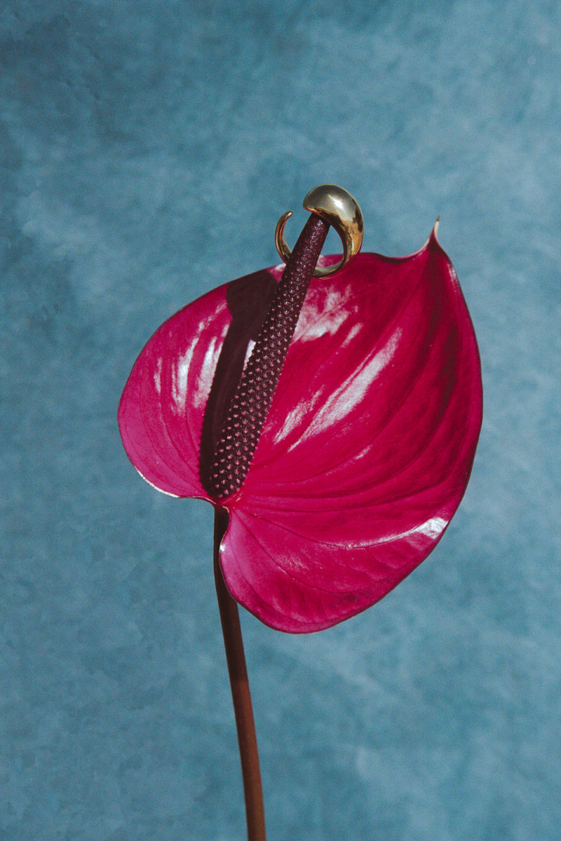 Lena Dome Ring - Gold