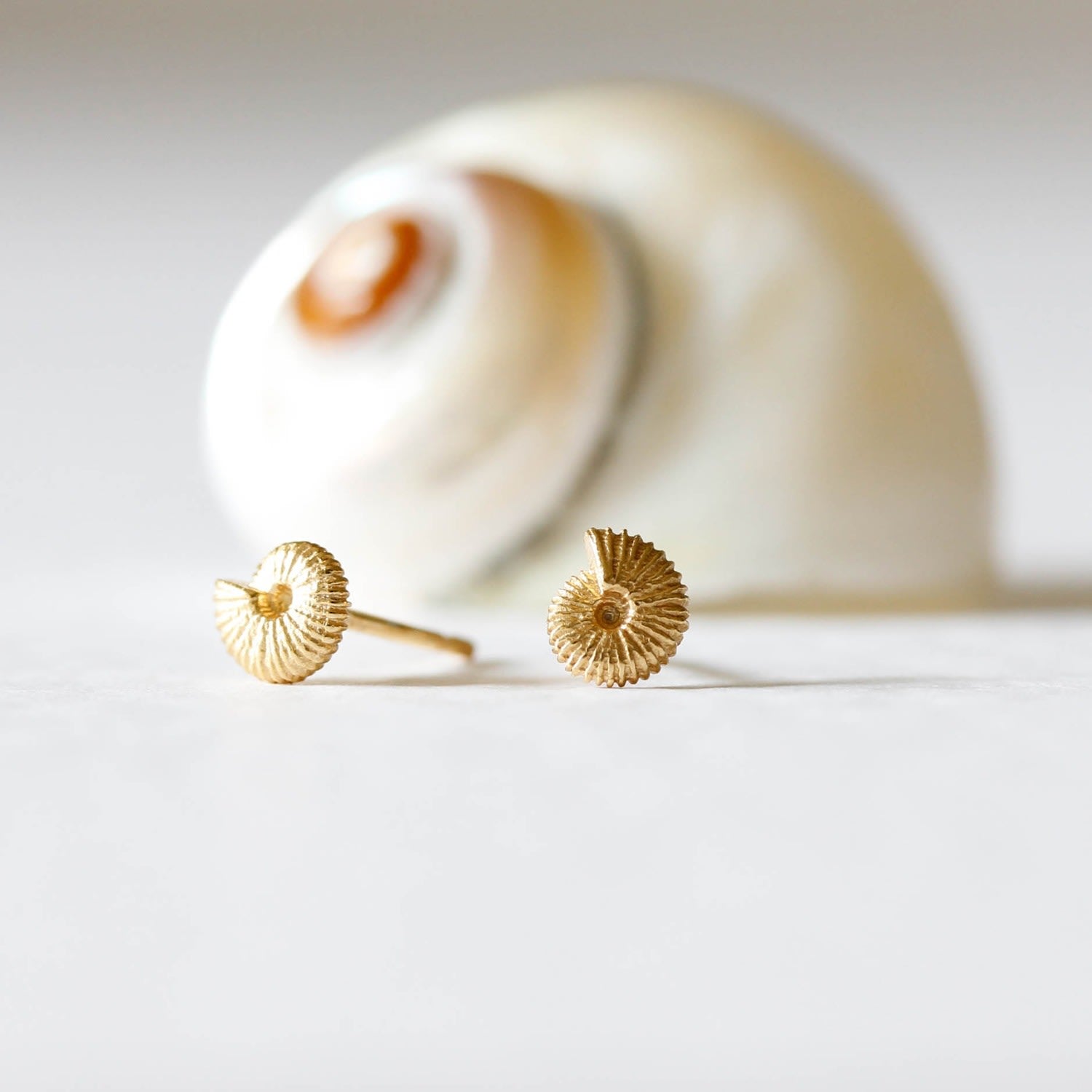 Ammonite Earrings - Silver
