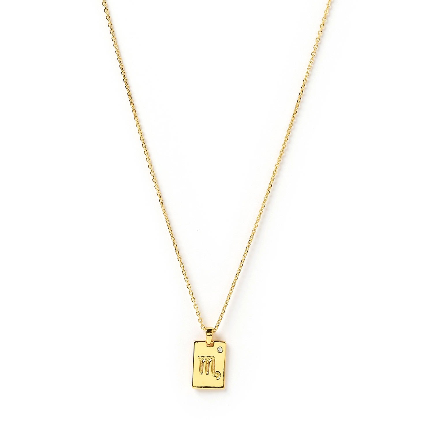 Scorpio Zodiac Gold Tag Necklace