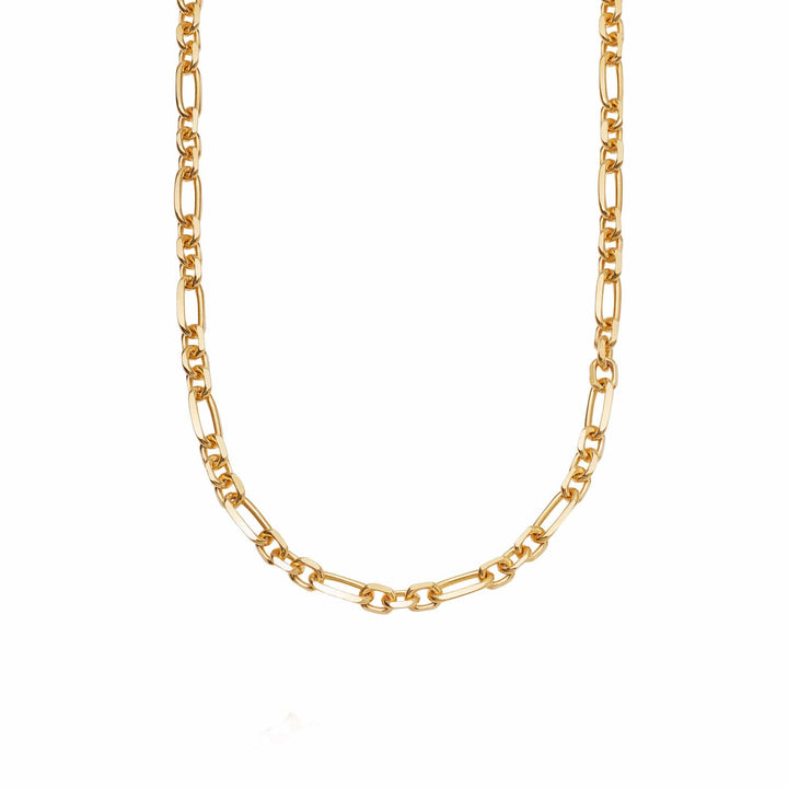 magnus-chunky-chain-necklace-18ct-gold-plated-daisy-london