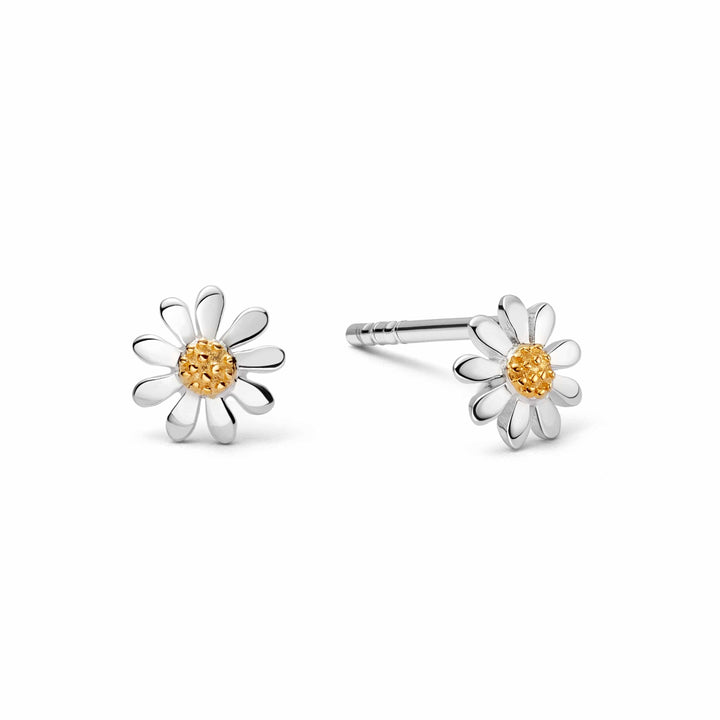 marguerite-daisy-stud-earrings-18ct-gold-plated-925-sterling-silver-daisy-london