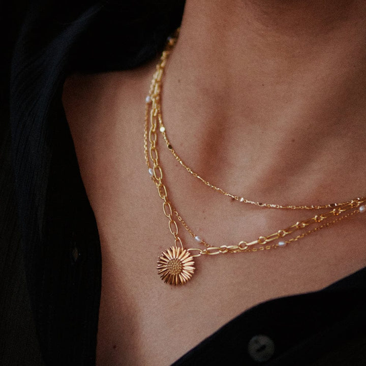 michaelmas-daisy-necklace-18ct-gold-plated-925-sterling-silver-and-18ct-gold-plated-daisy-london