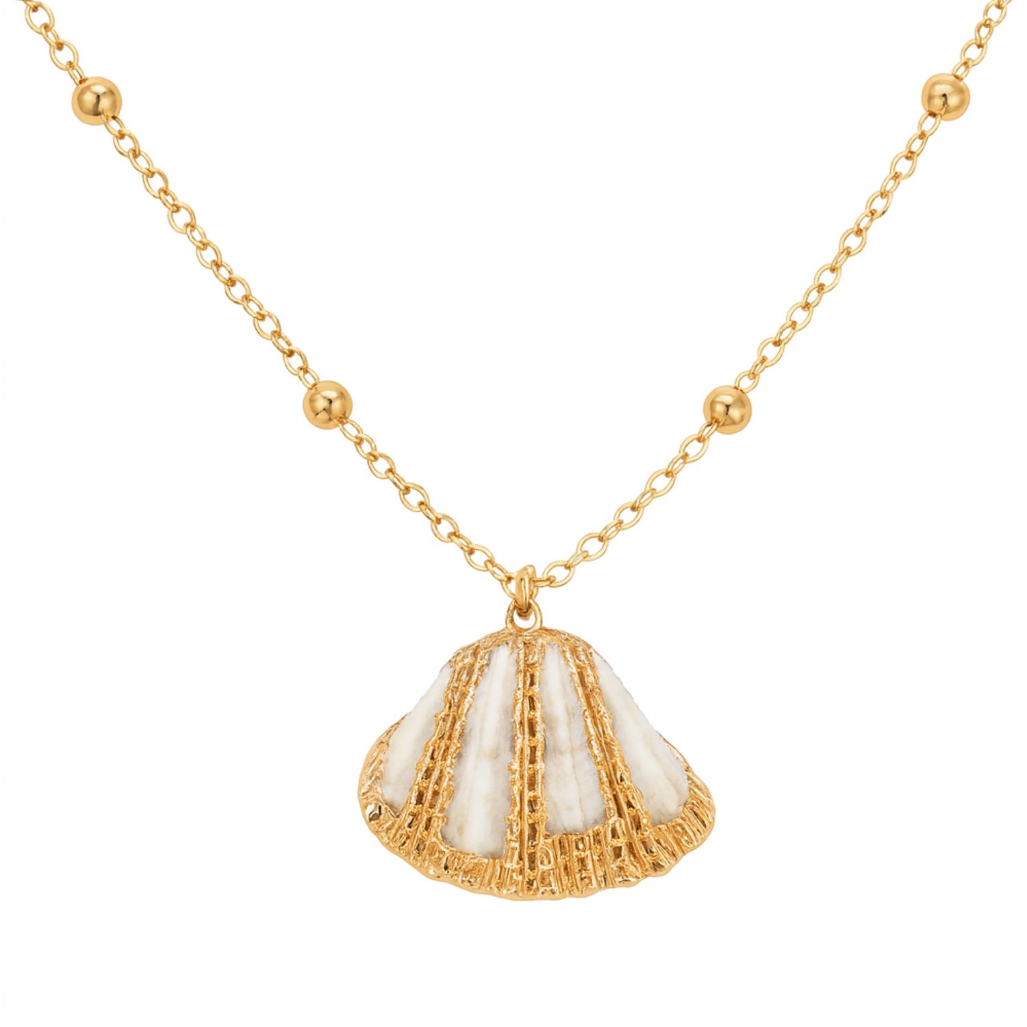 Natural Seshell Necklace With Gold Plated Chain