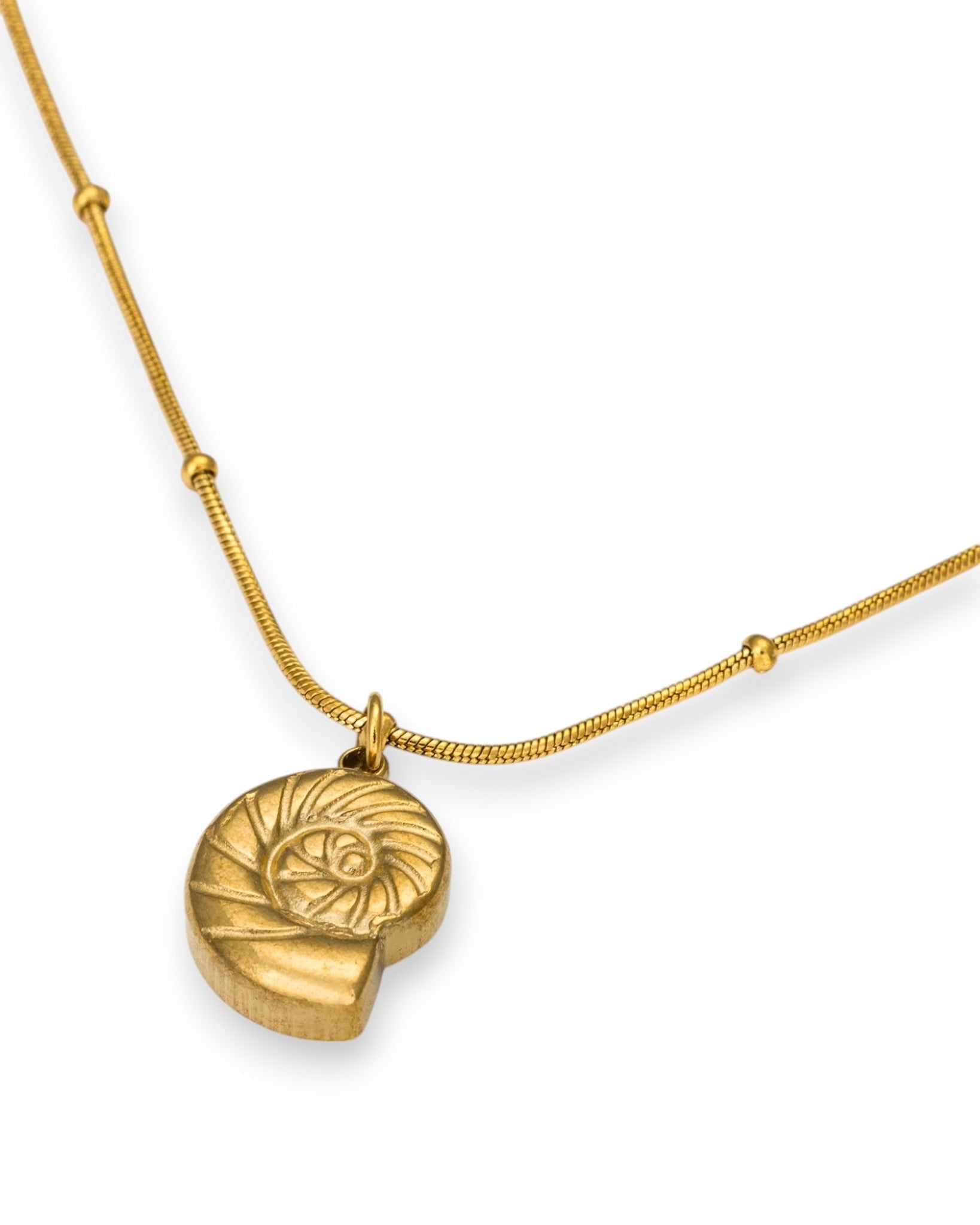 Nautilus Pendant Necklace In Gold