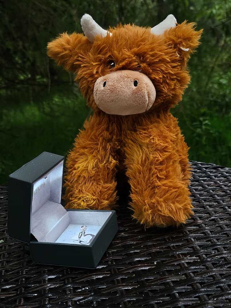 Two Stone Diamond Infinity Twist Engagement Ring