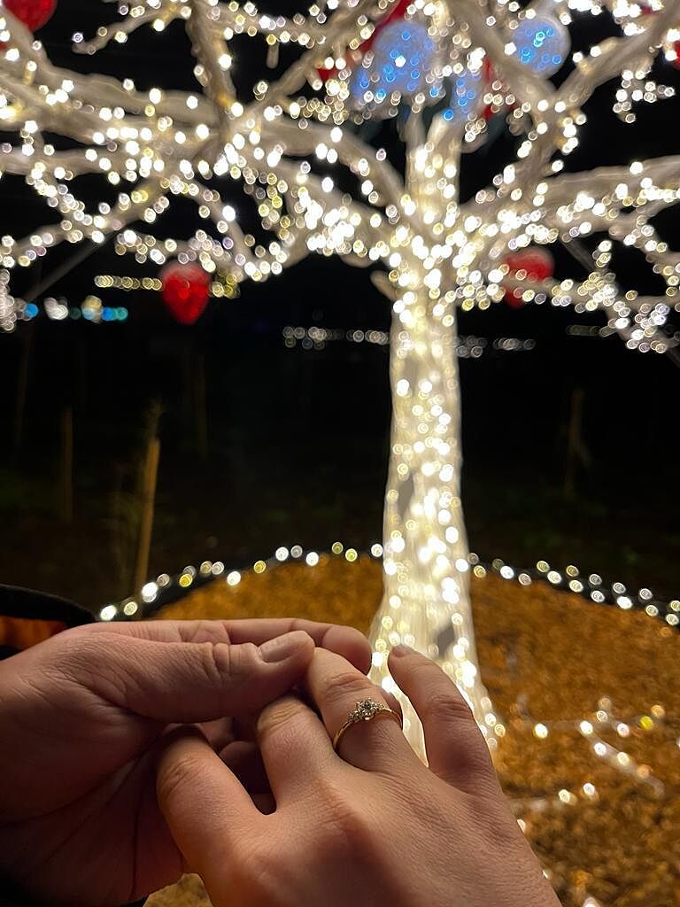 Round Diamond Trilogy Engagement Ring with Pear Motifs