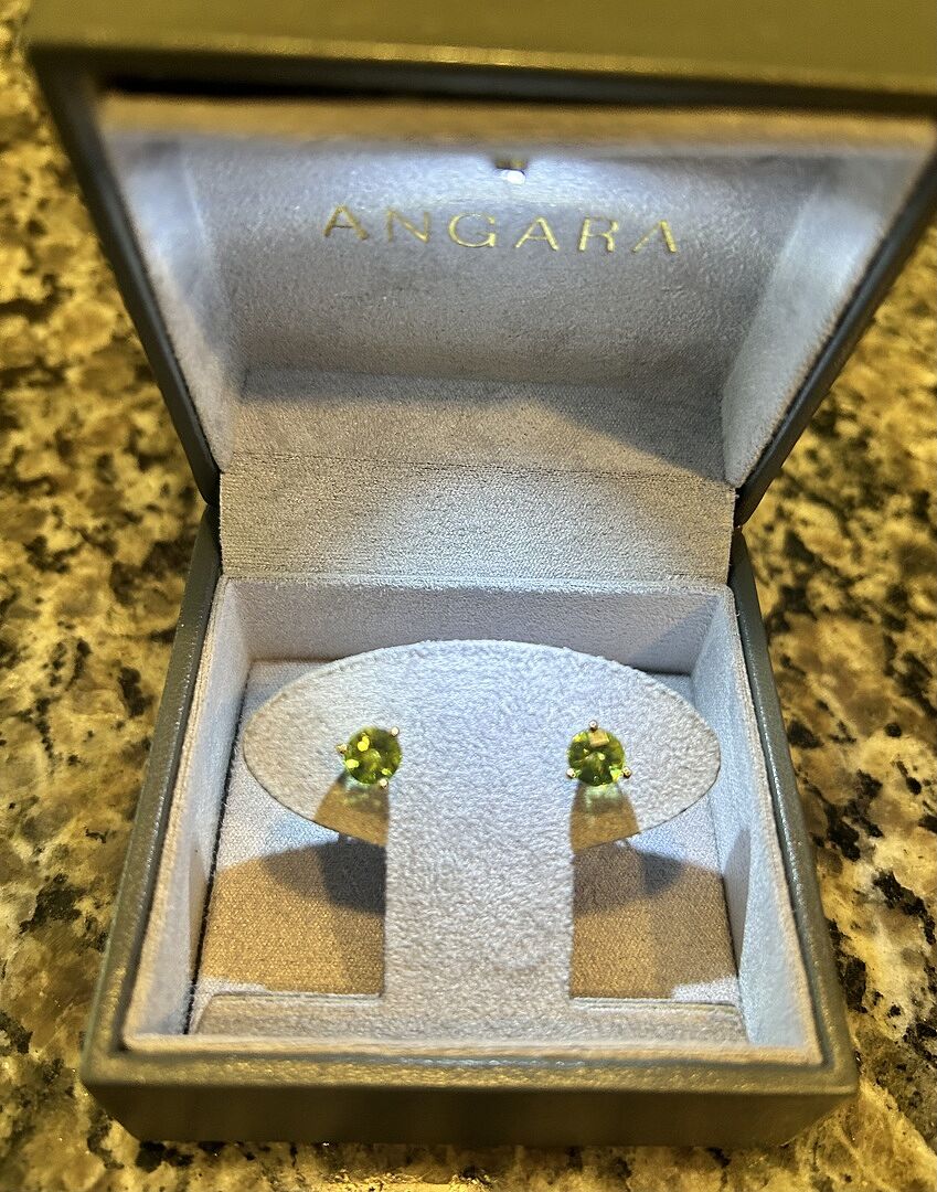 Martini-Set Round Ruby Stud Earrings