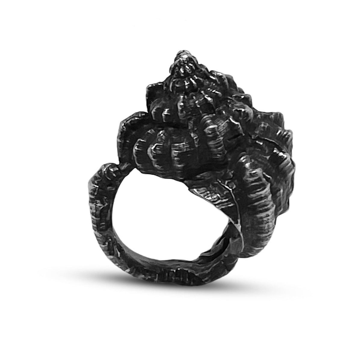 The oxidized sea shell ring molded from a sea shell size 6.5