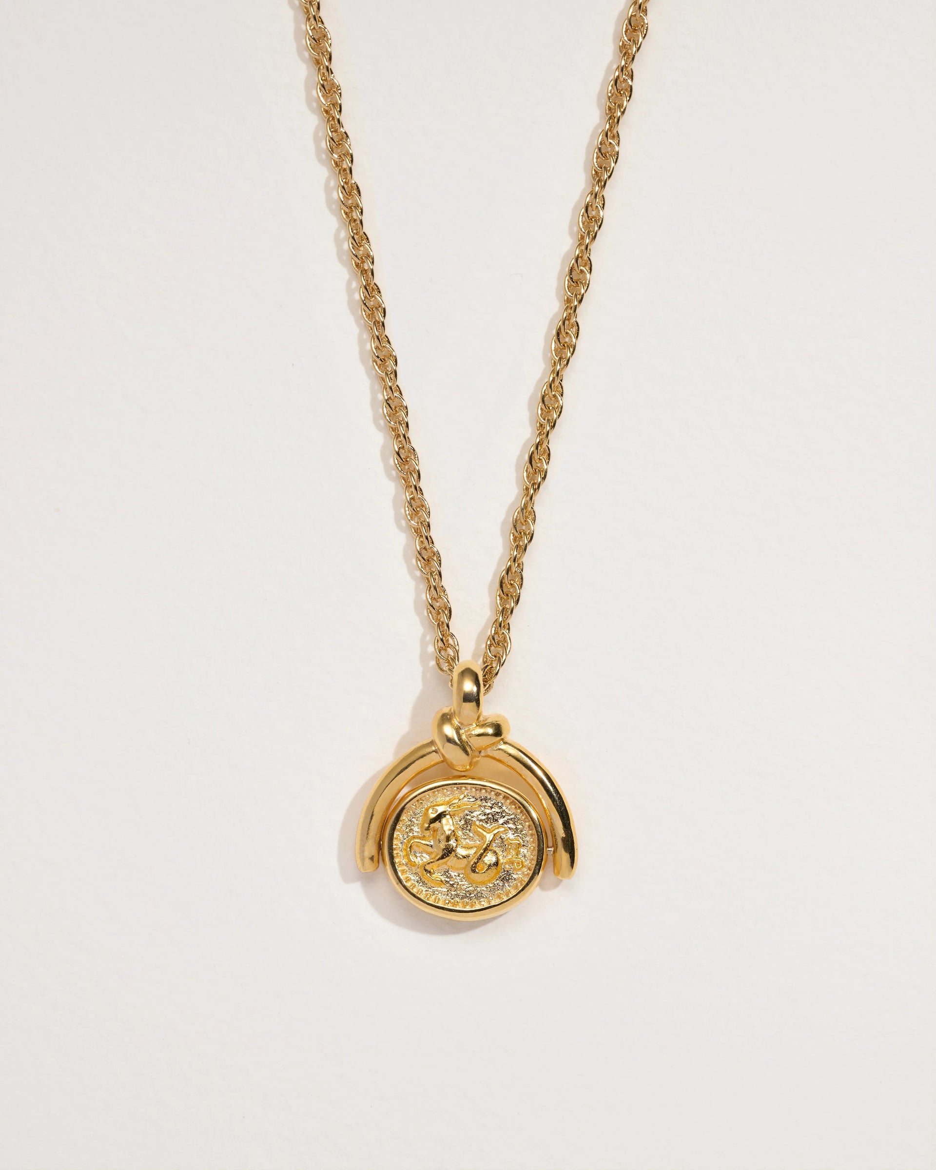 Capricorn Spinner Pendant